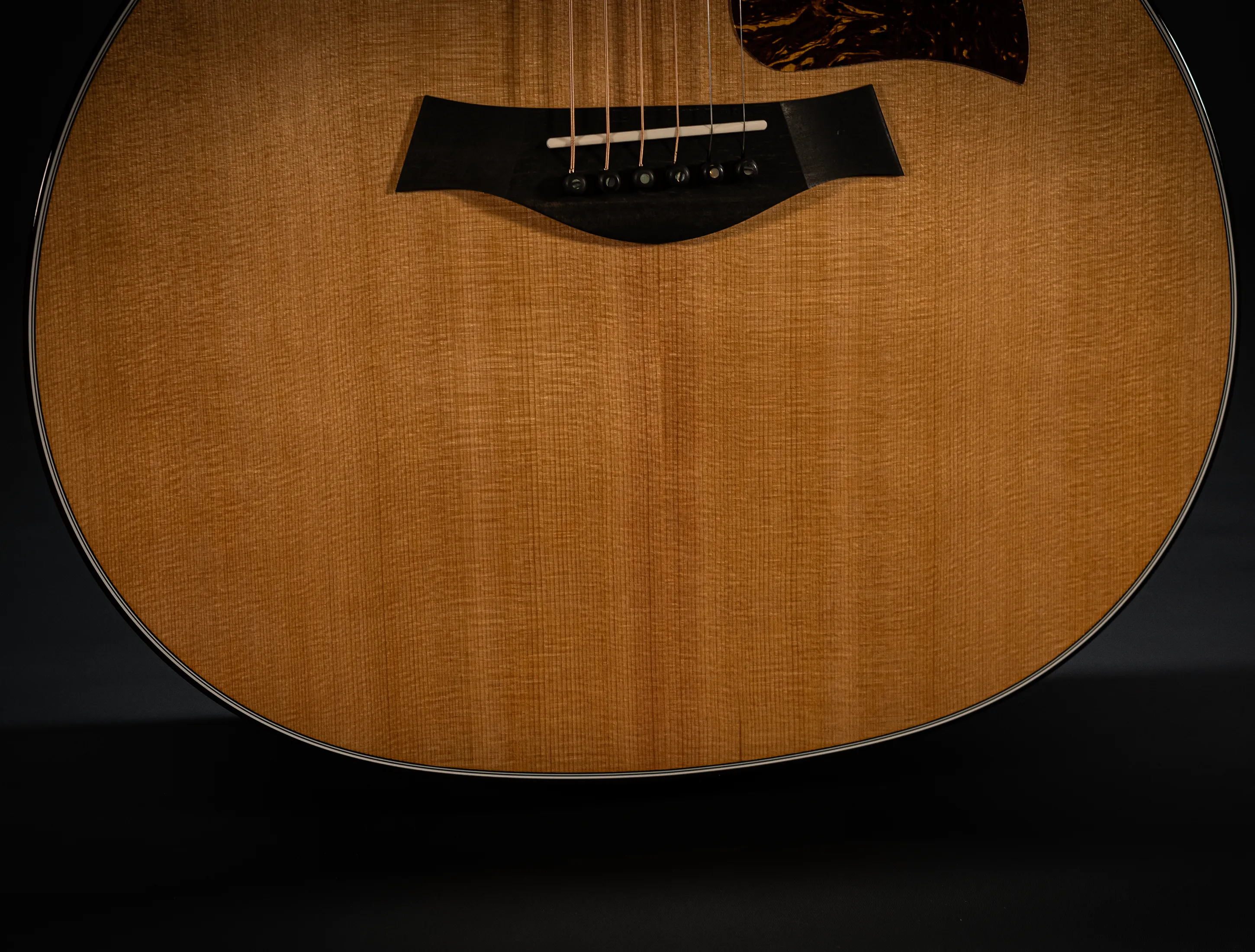 a170563 Taylor 514ce Legacy