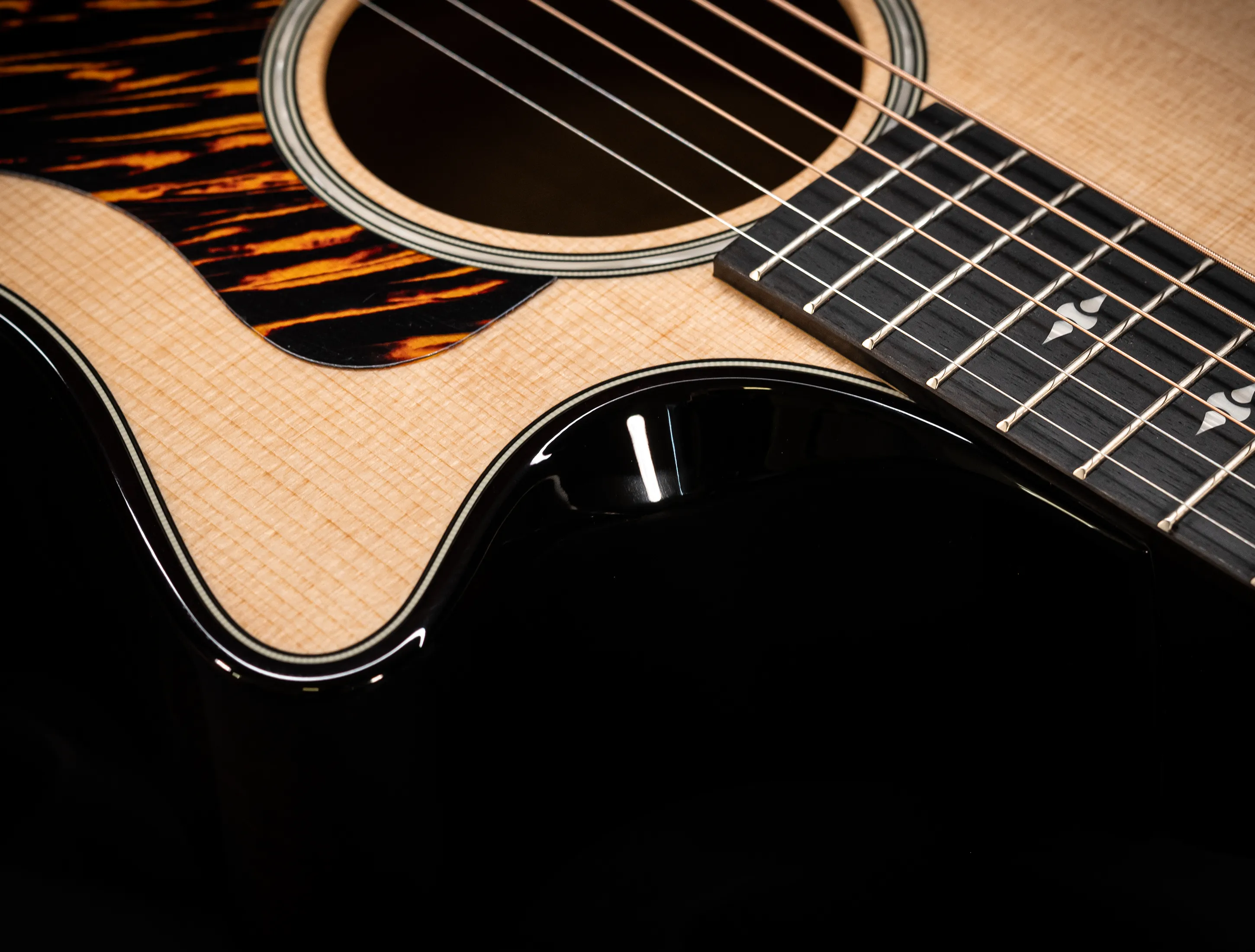 a174166 Taylor 514ce Builders Edition Natural musikhaus-hermann
