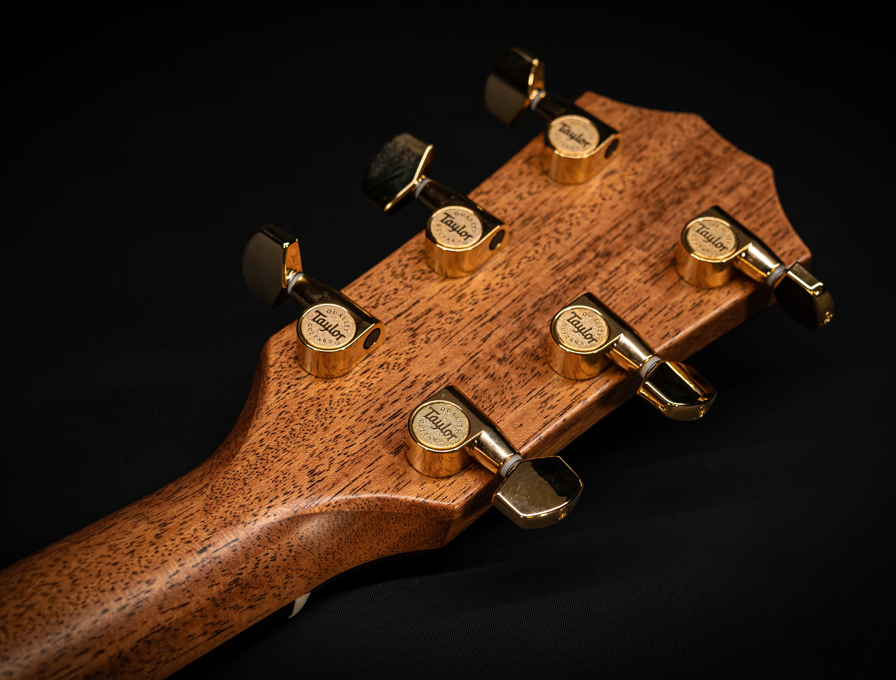 a170551 Taylor 514ce Legacy