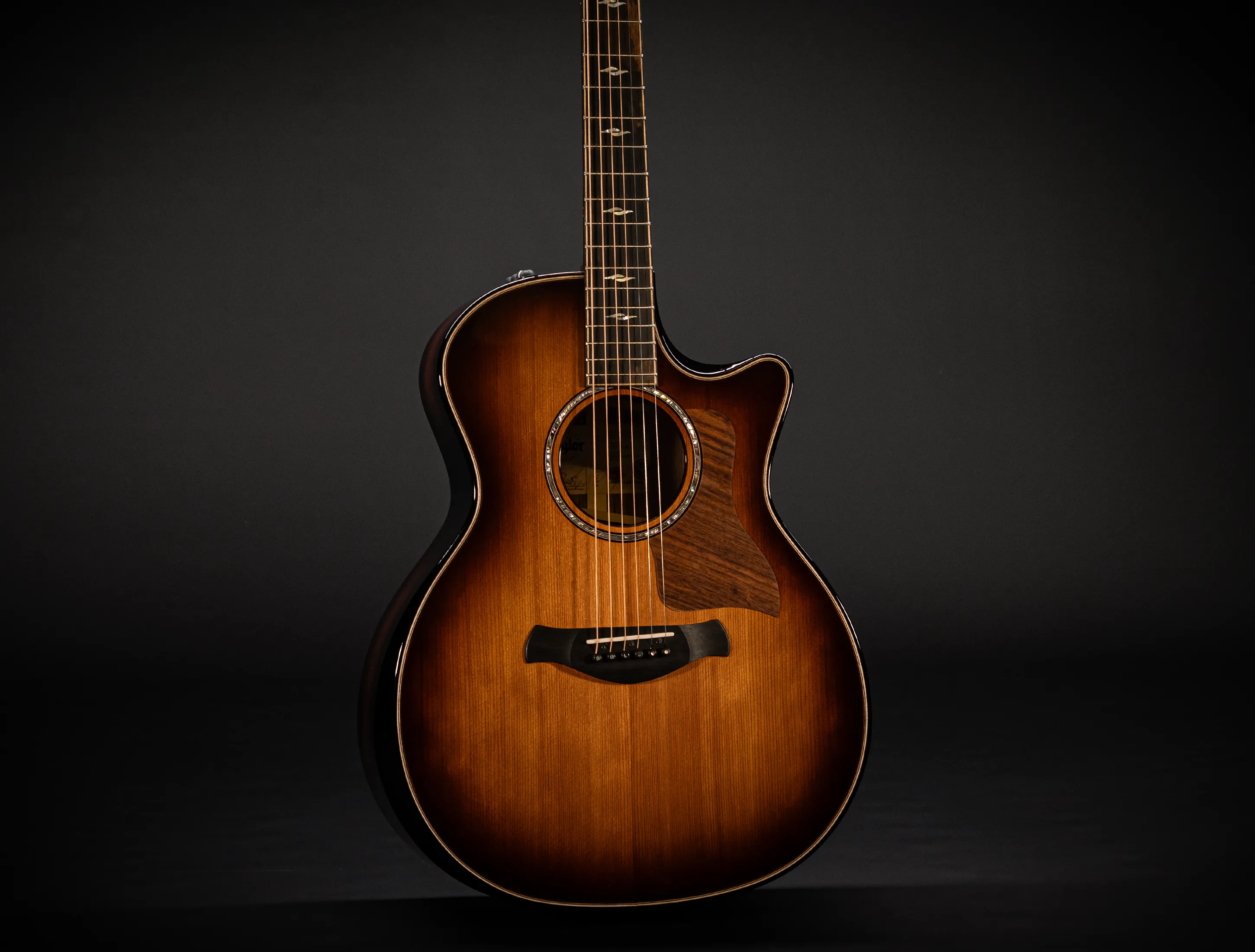 Taylor Builder´s Edition 814ce Honduras Palisander meets Sinker Redwood