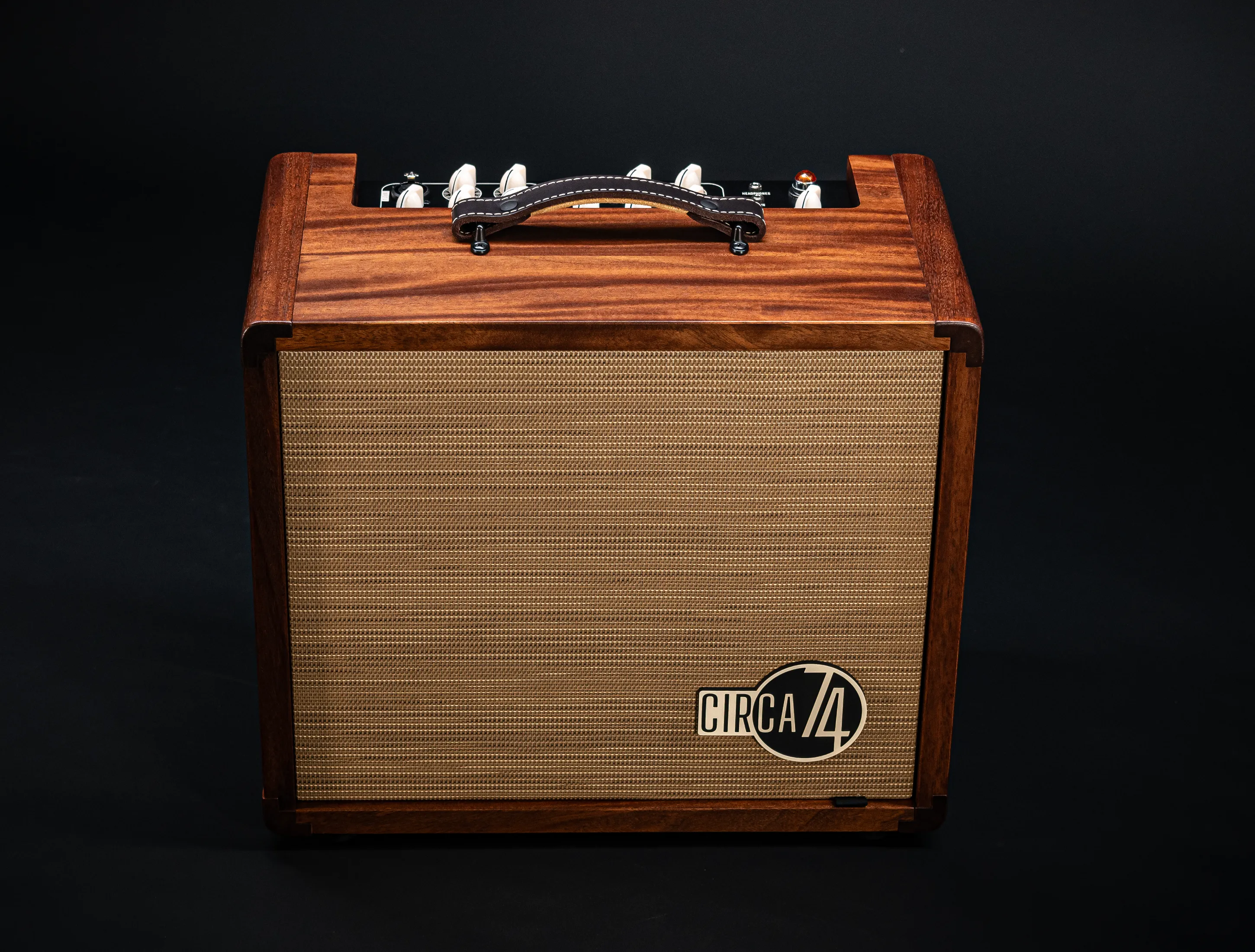 Taylor Circa 74 Acoustic Amp