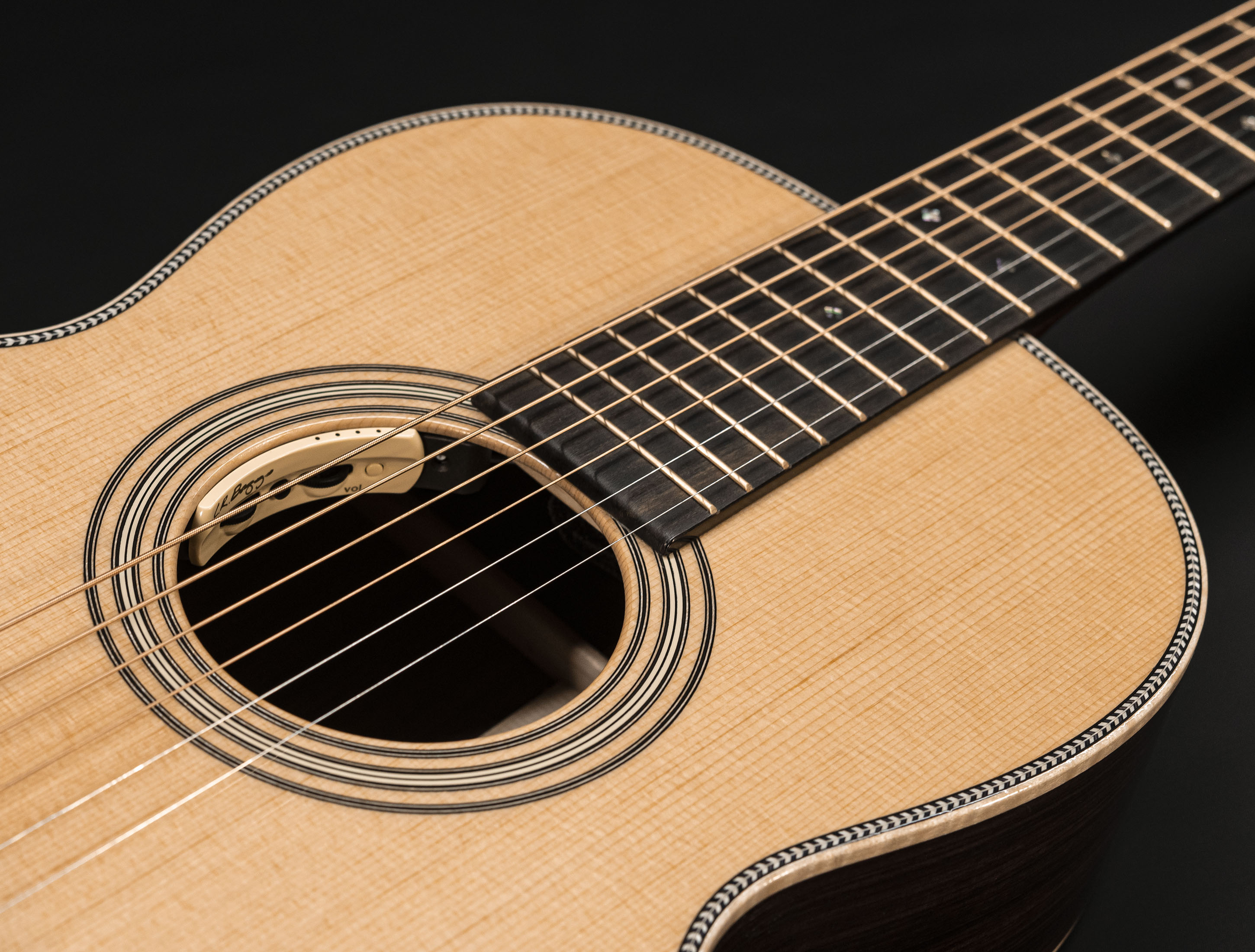 Galerie anzeigen (25 Bilder) a137361 martin-0012-28-e-12-fret-modern-deluxe-l-r-baggs-anthem-pickup