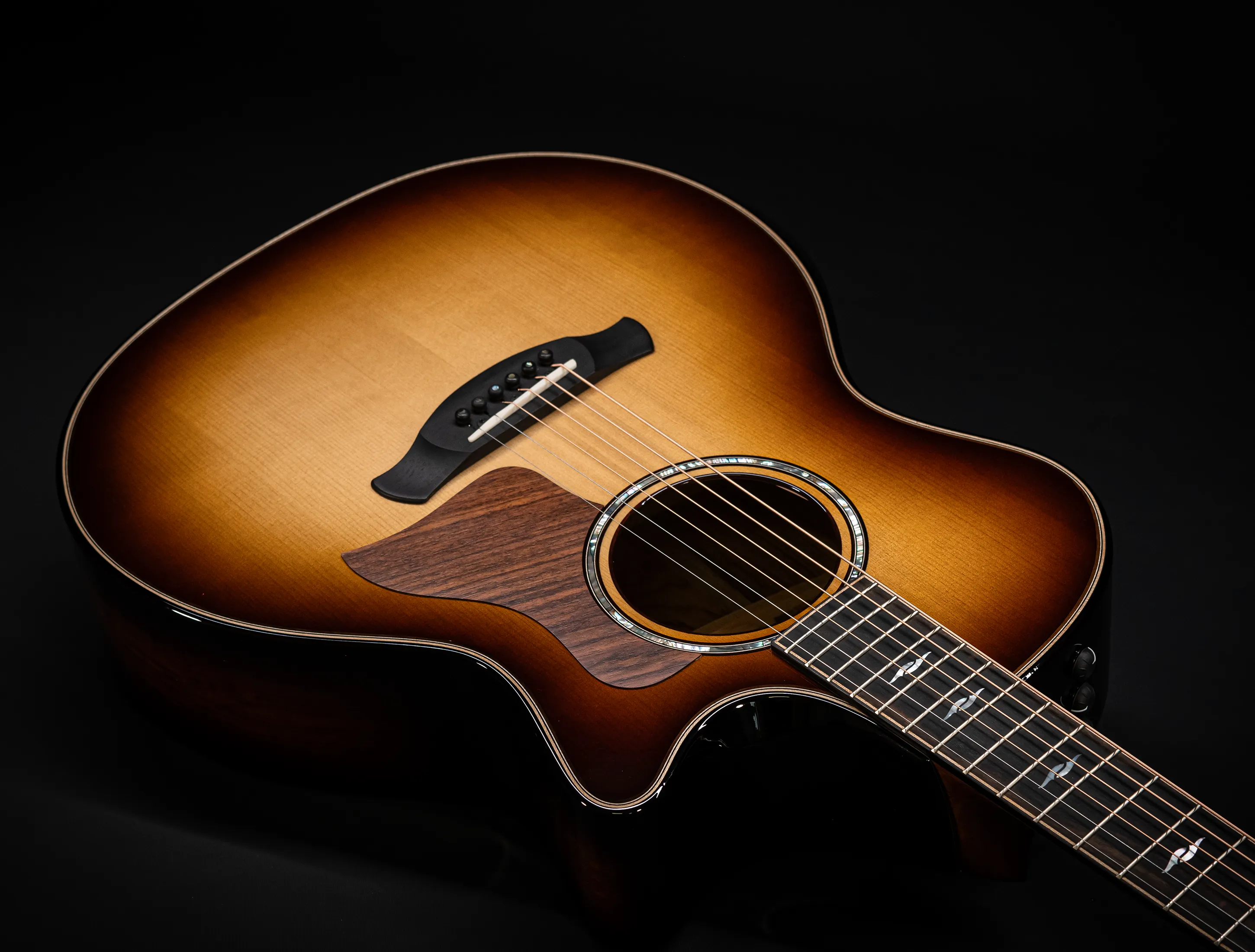 a171175 Taylor Builders Edition 814ce Honduras Palisander meets Adirondack Musikhaus-Hermann
