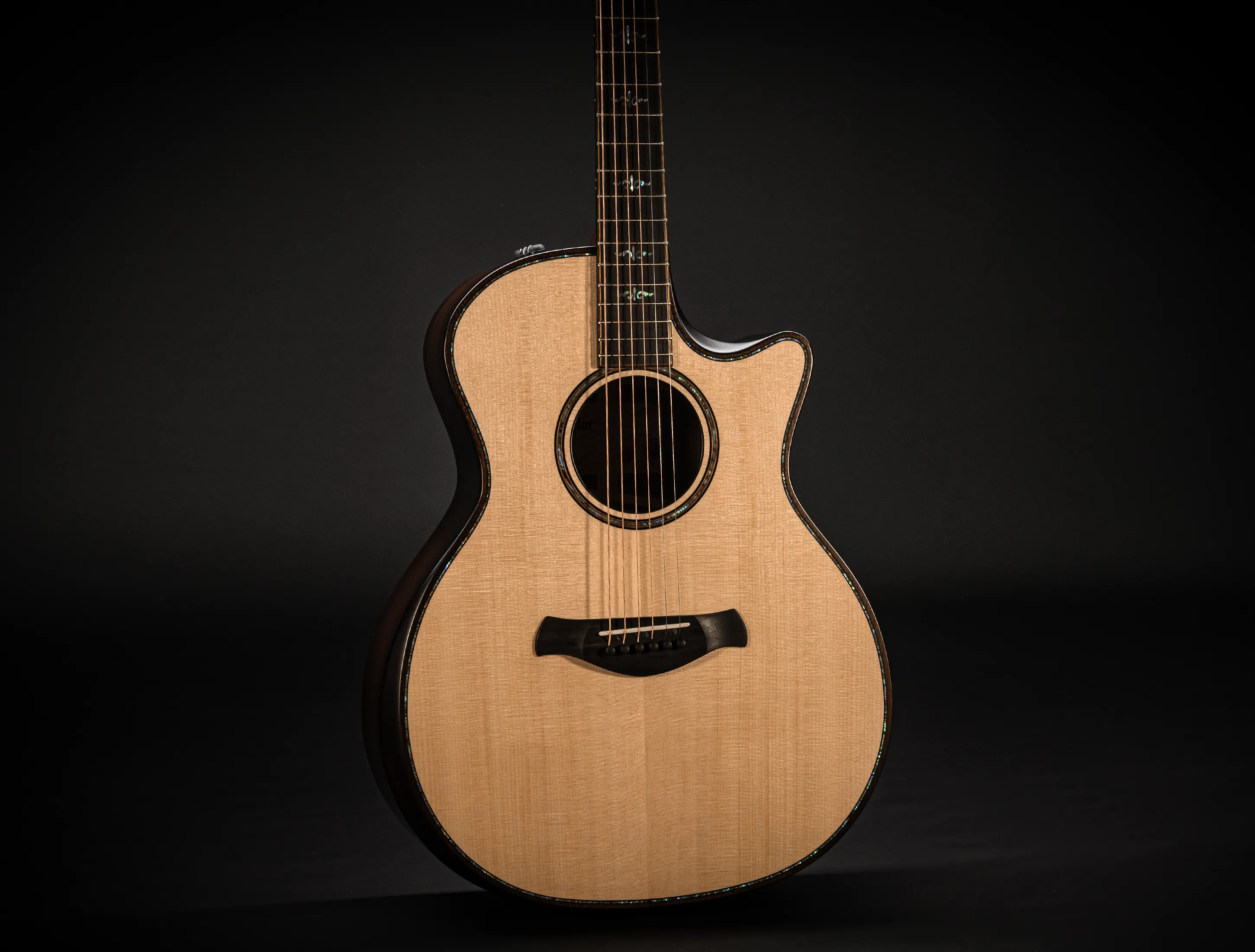 Taylor 914ce Builder´s Edition Natural Top