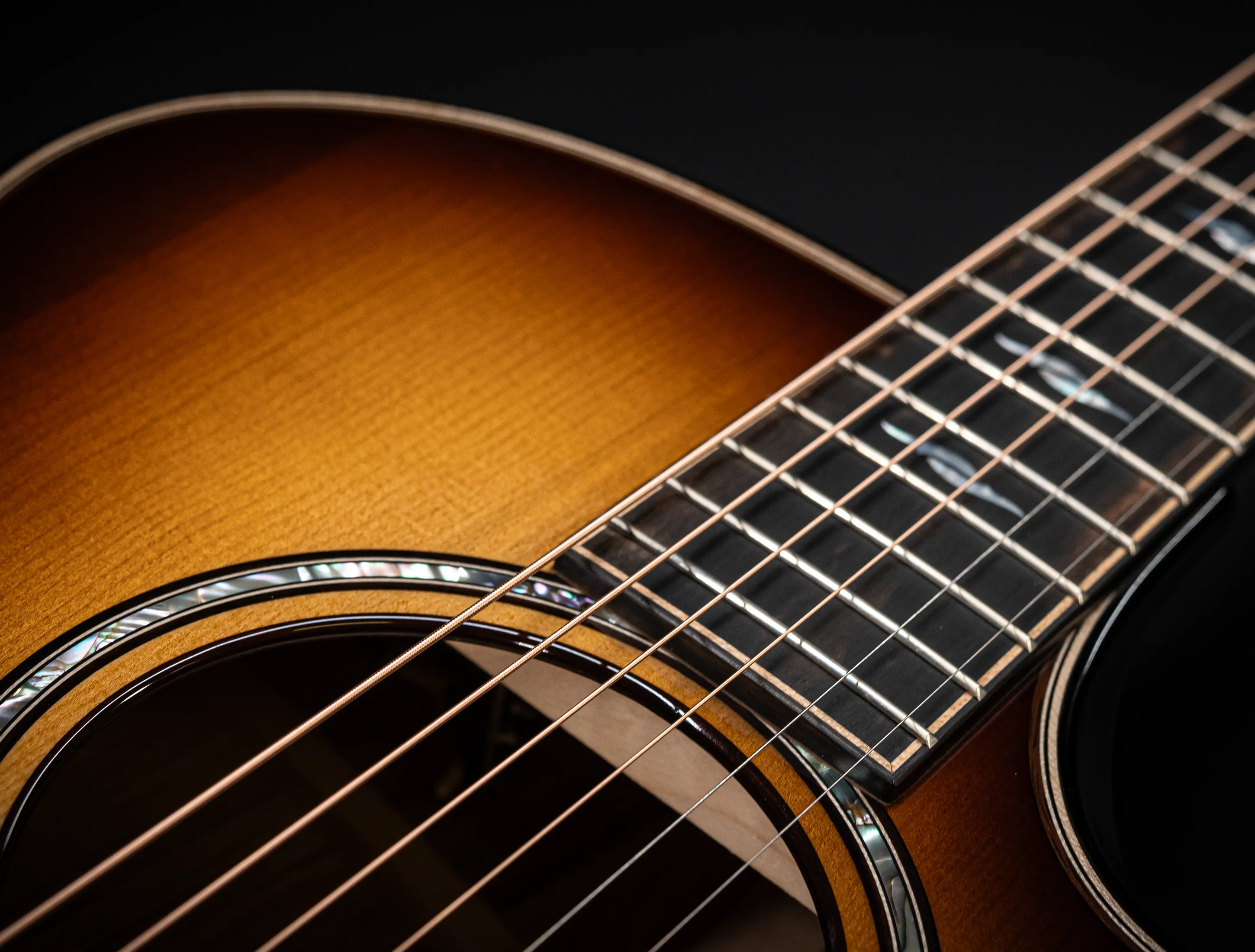 a171165 Taylor Builders Edition 814ce Honduras Palisander meets Adirondack Musikhaus-Hermann