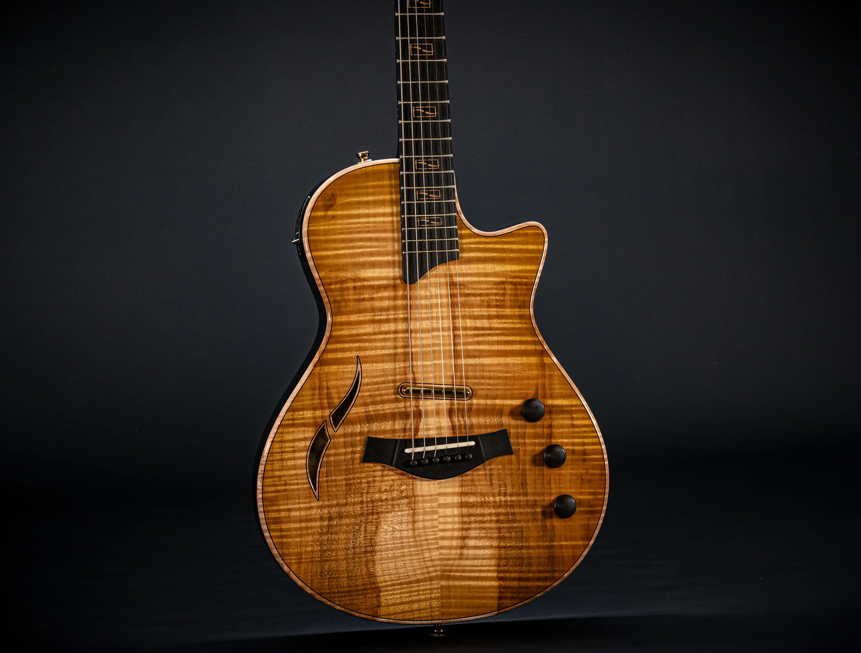Taylor Custom T5z Boxwood Antique Blonde