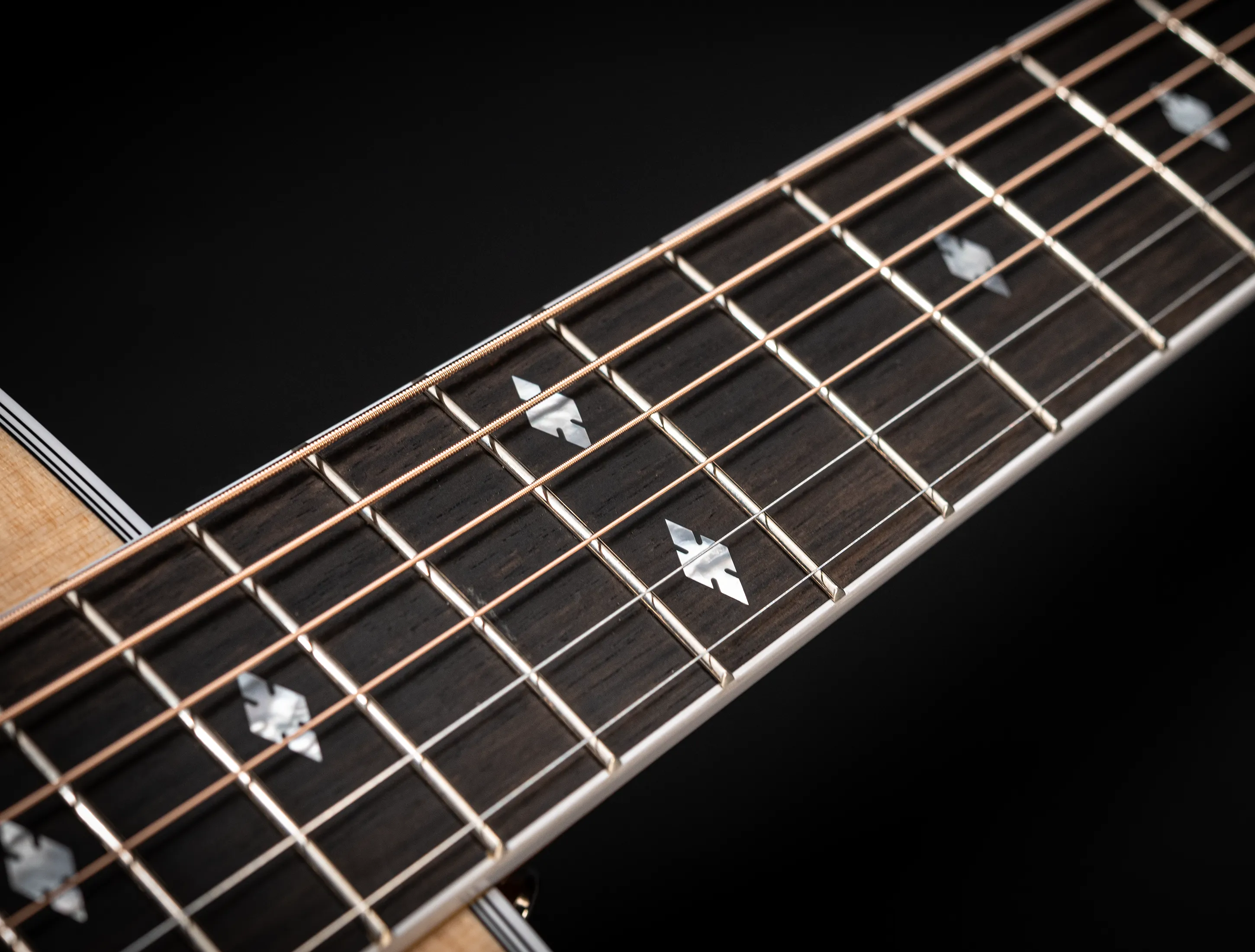 Show gallery (27 images) a165045 Taylor 815e Legacy - First Edition hand signed by Bob Taylor