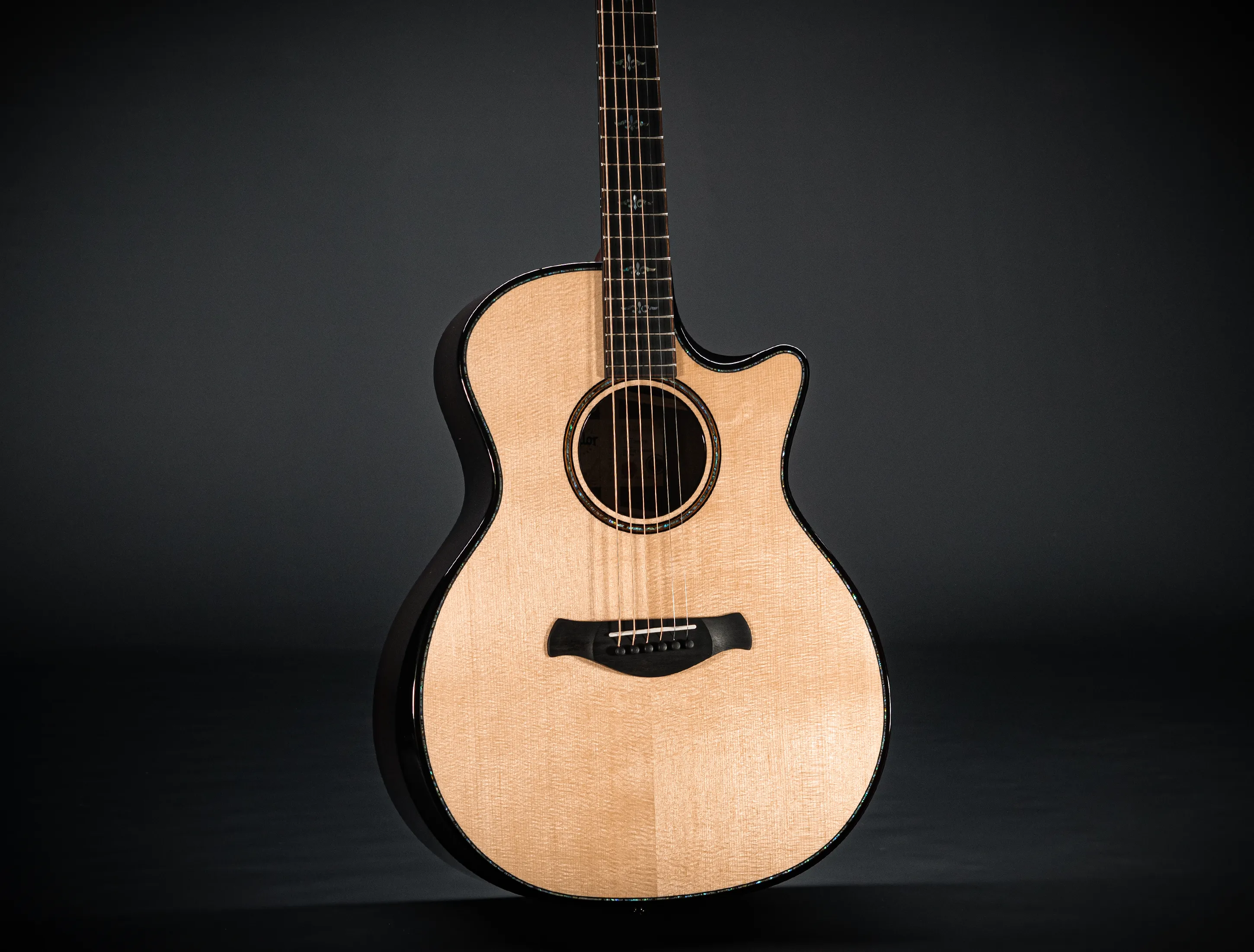 Taylor 914ce Builder's Edition Next Generation