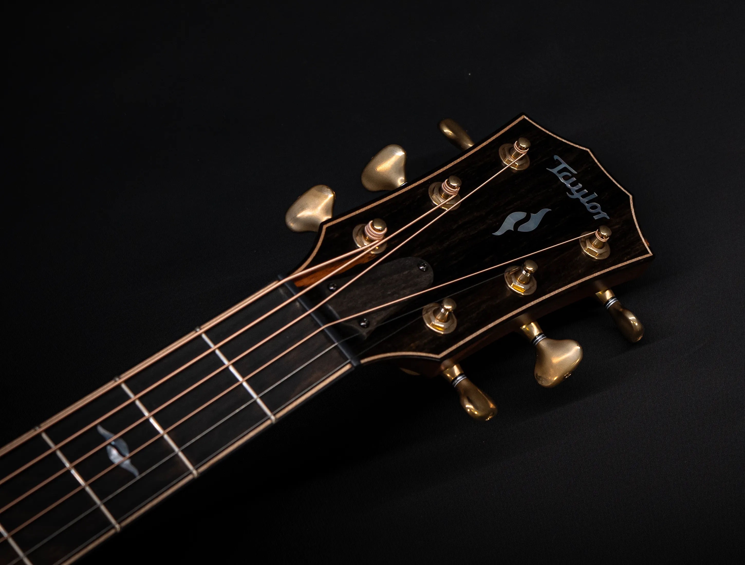 a171136 Taylor Builders Edition 814ce Honduras Palisander meets Sinker Redwood Musikhaus-Hermann