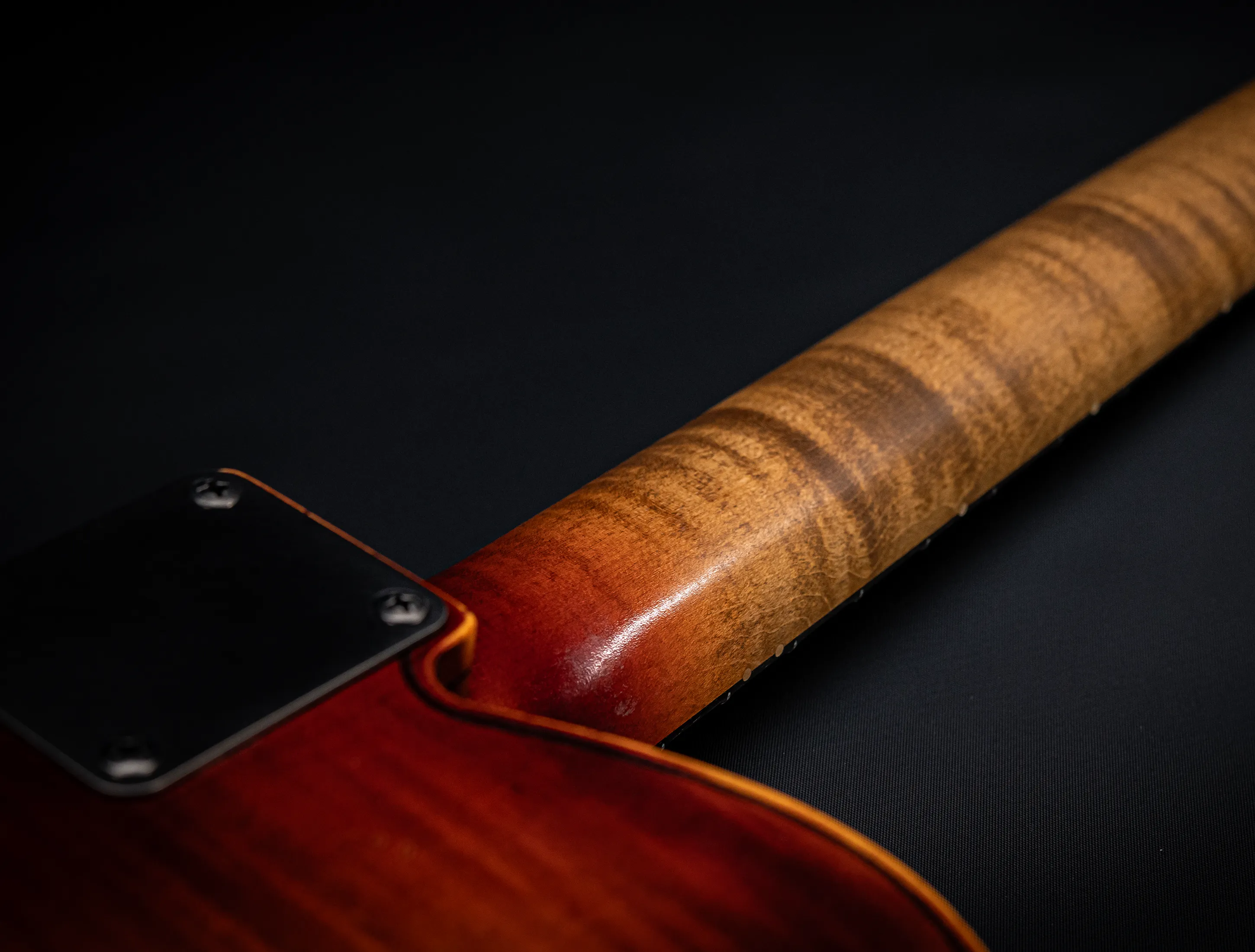 Fender Senior Masterbuilt Yuriy Shishkov Violinmaster Telecaster