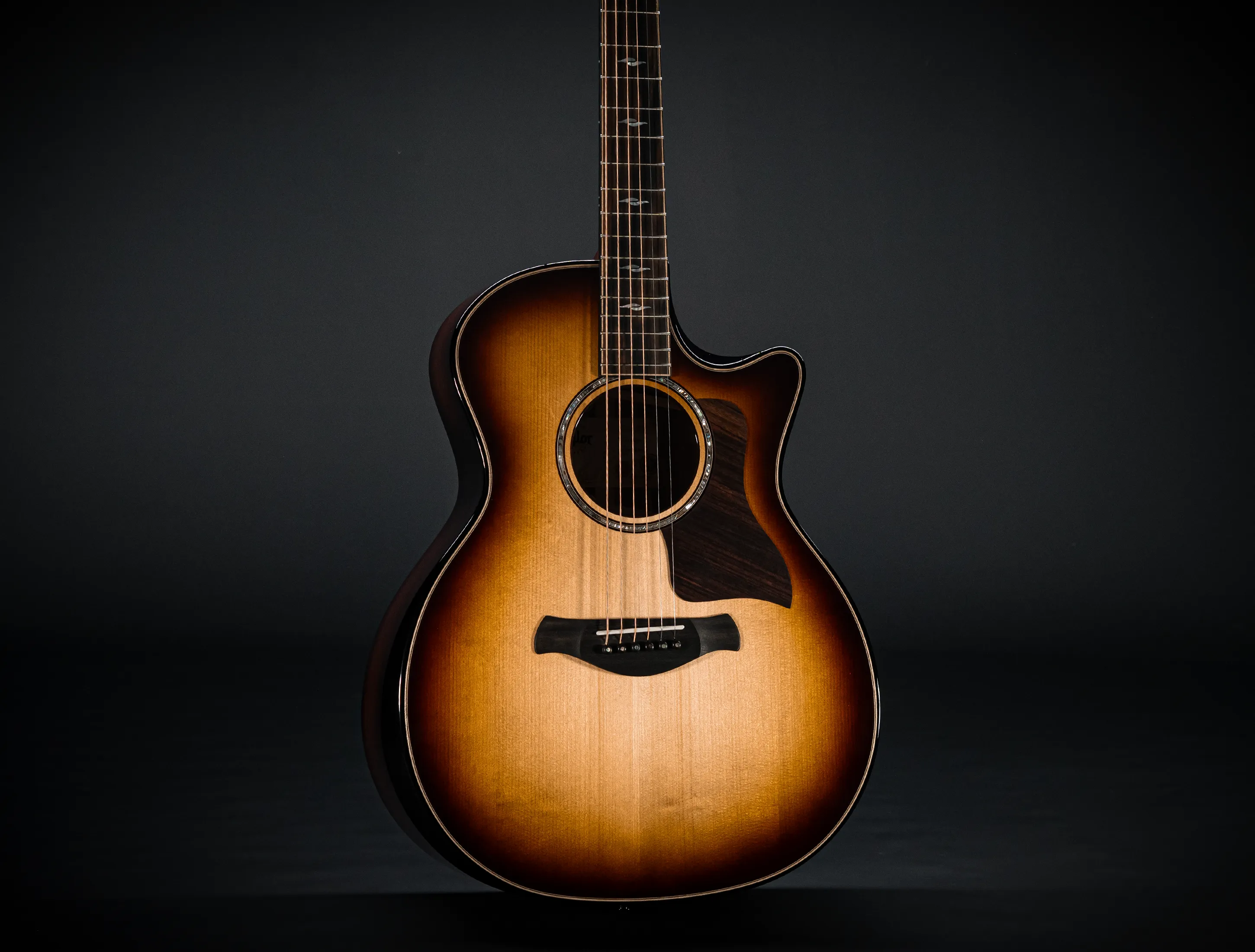 Taylor Builder's Edition 814ce Honduras Palisander meets Adirondack Next Generation