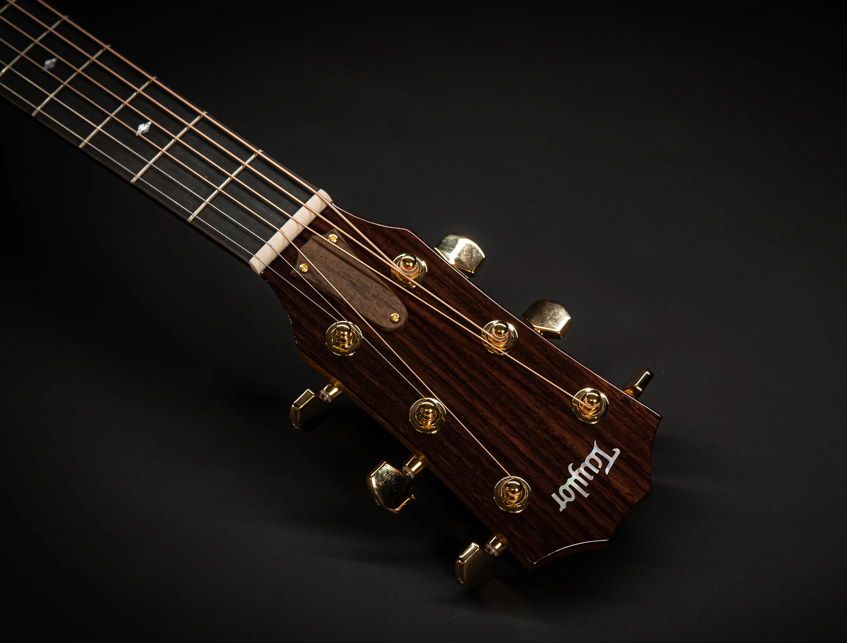 a170556 Taylor 514ce Legacy