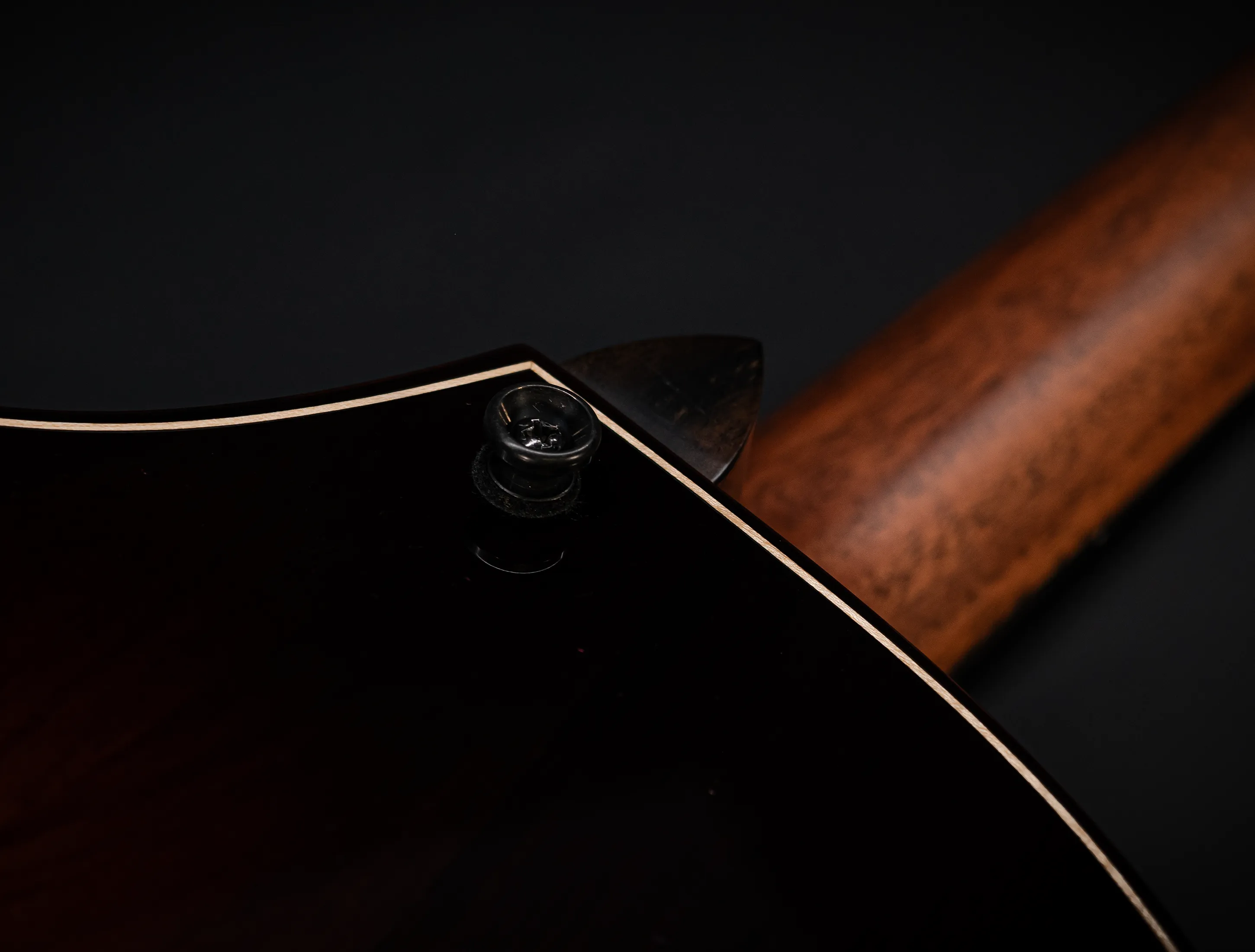 a171171 Taylor Builders Edition 814ce Honduras Palisander meets Adirondack Musikhaus-Hermann