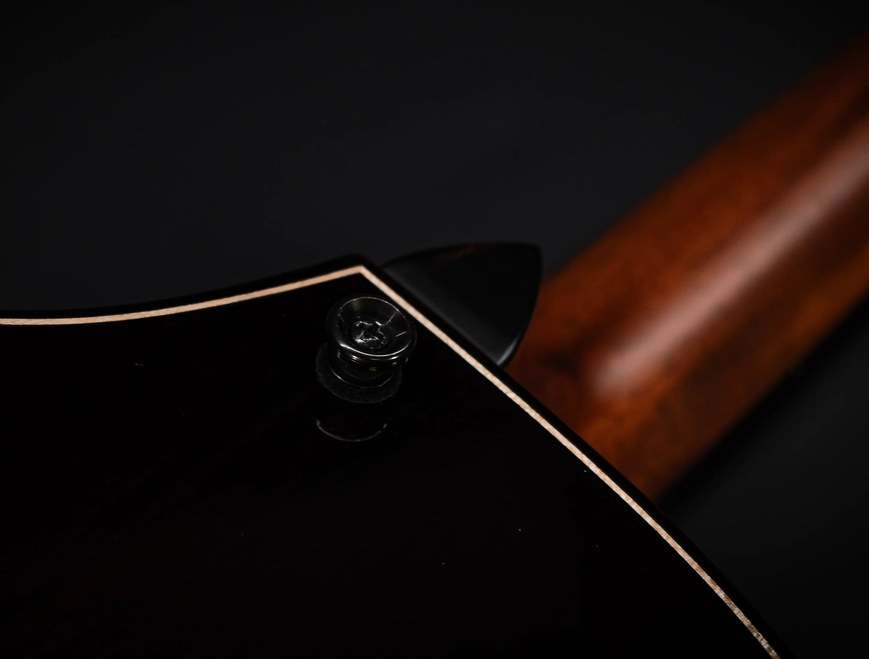 a171139 Taylor Builders Edition 814ce Honduras Palisander meets Sinker Redwood Musikhaus-Hermann