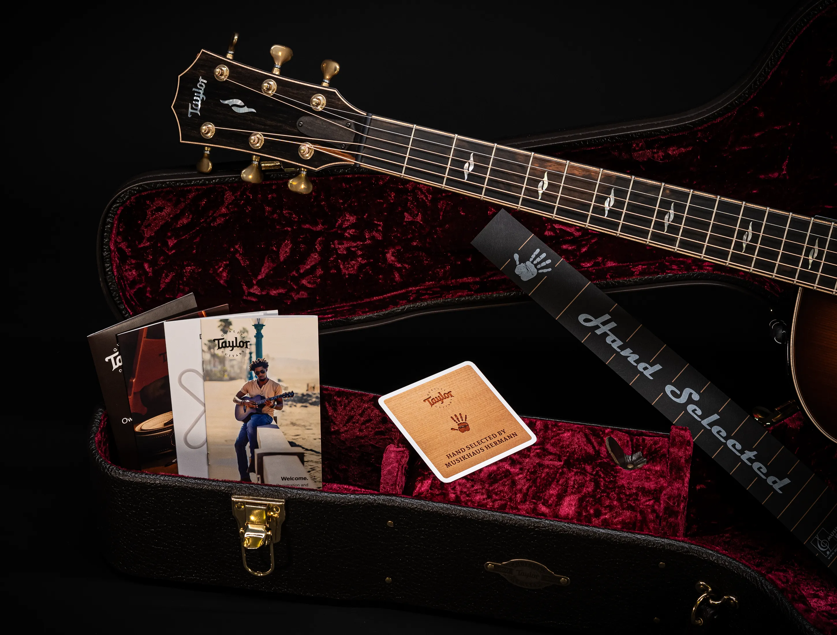 a171125 Taylor Builders Edition 814ce Honduras Palisander meets Sinker Redwood Musikhaus-Hermann