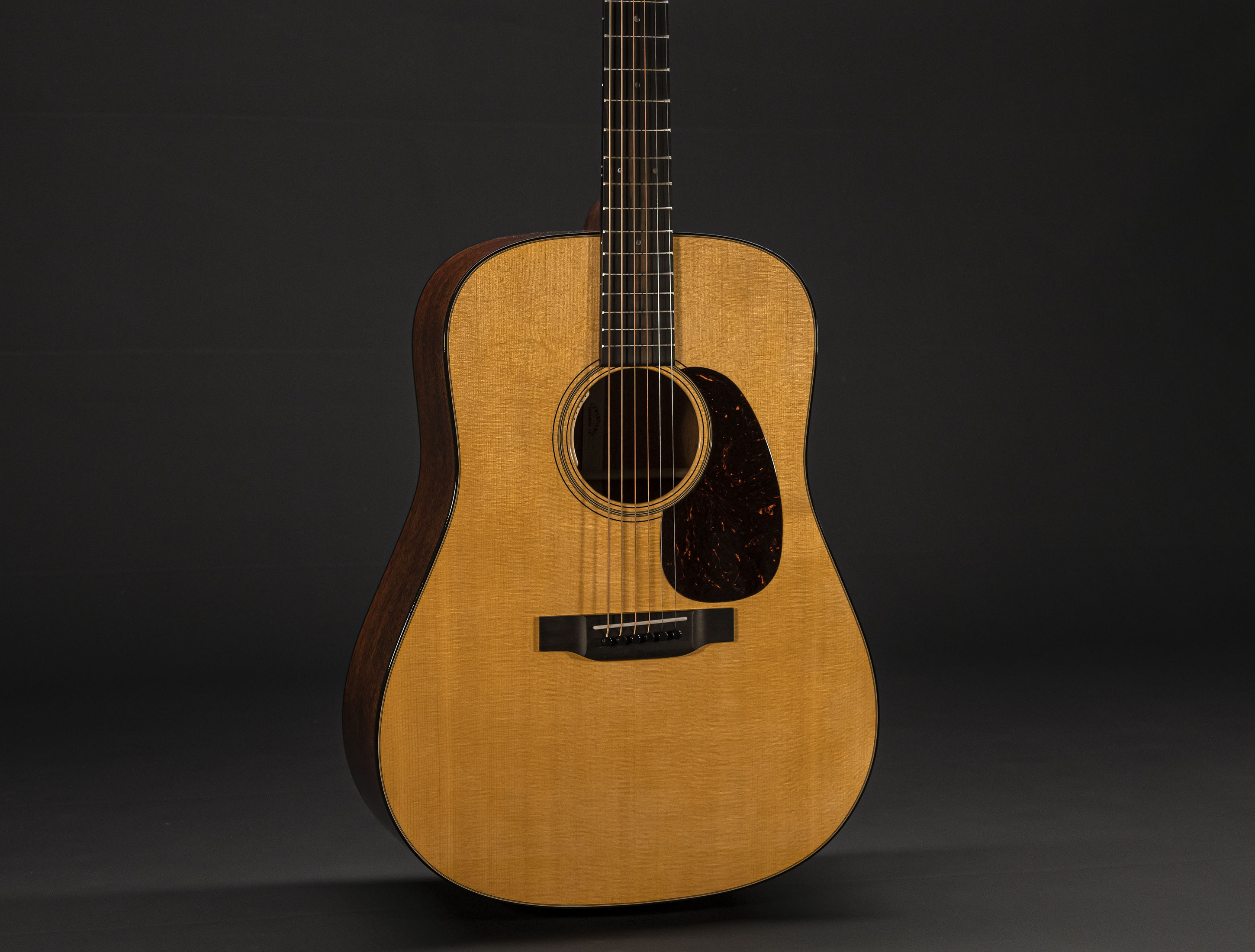 Martin D-18 E LRB - LR Baggs Anthem