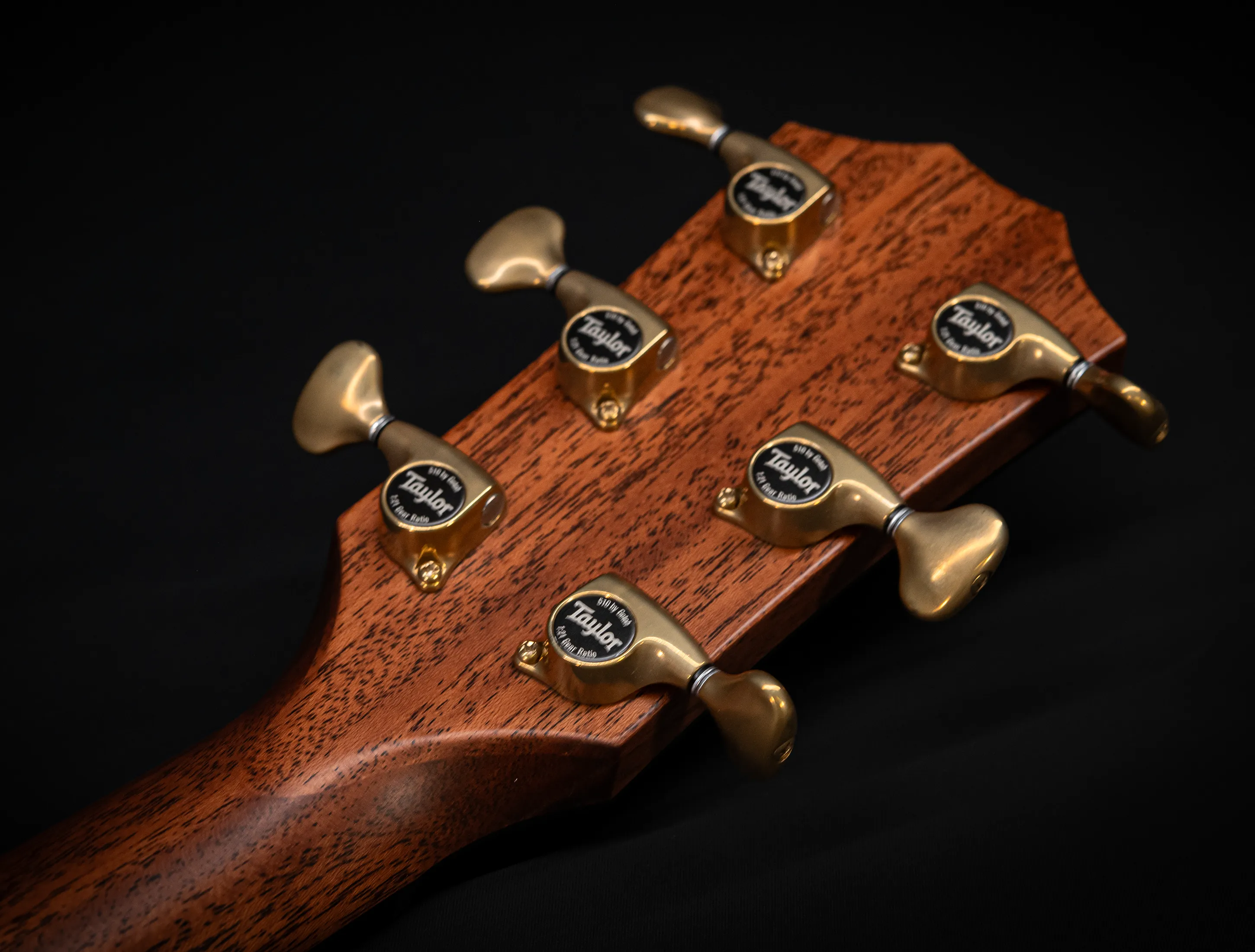 a171174 Taylor Builders Edition 814ce Honduras Palisander meets Adirondack Musikhaus-Hermann