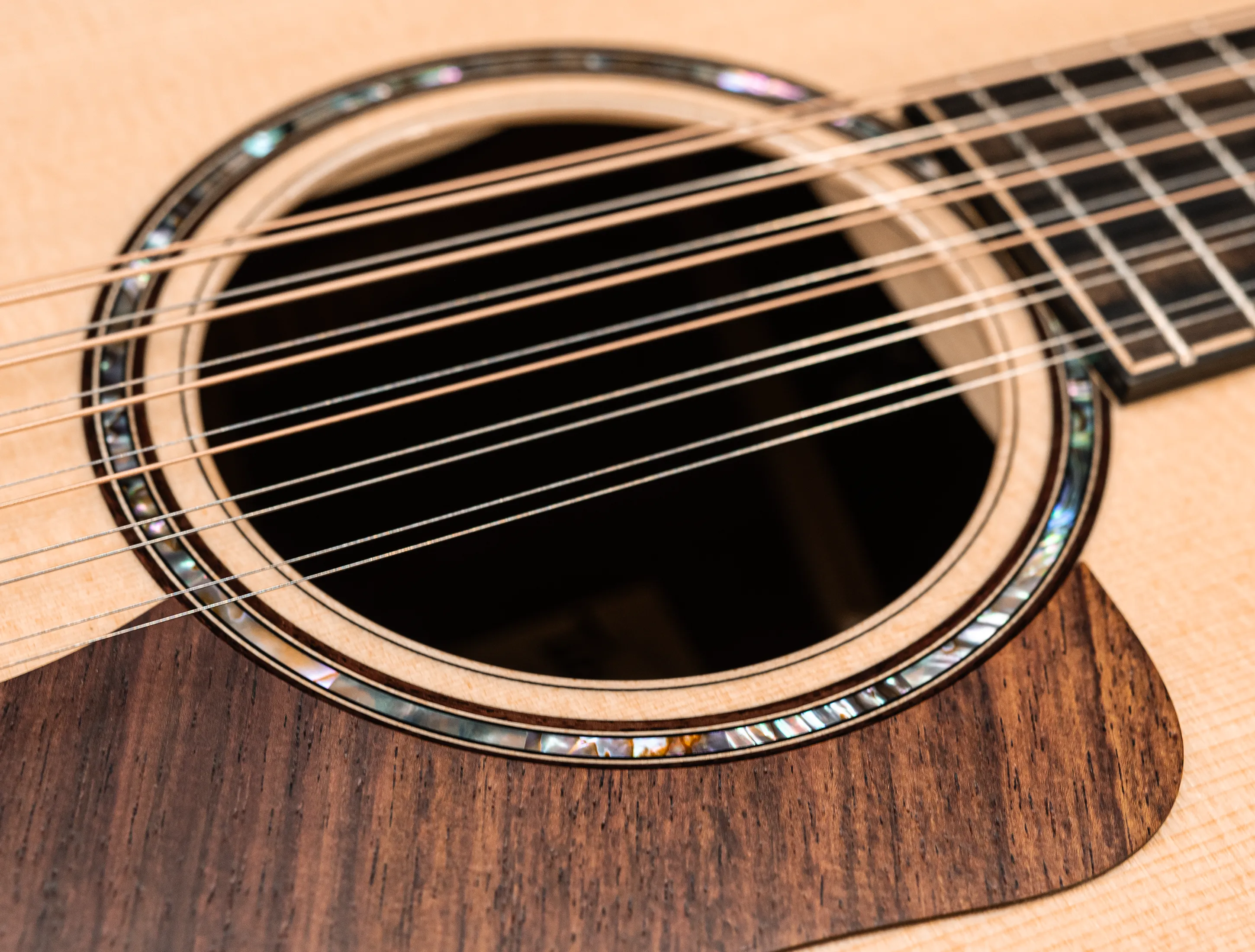 a174750 Taylor 854ce 12 Saitig musikhaus-hermann