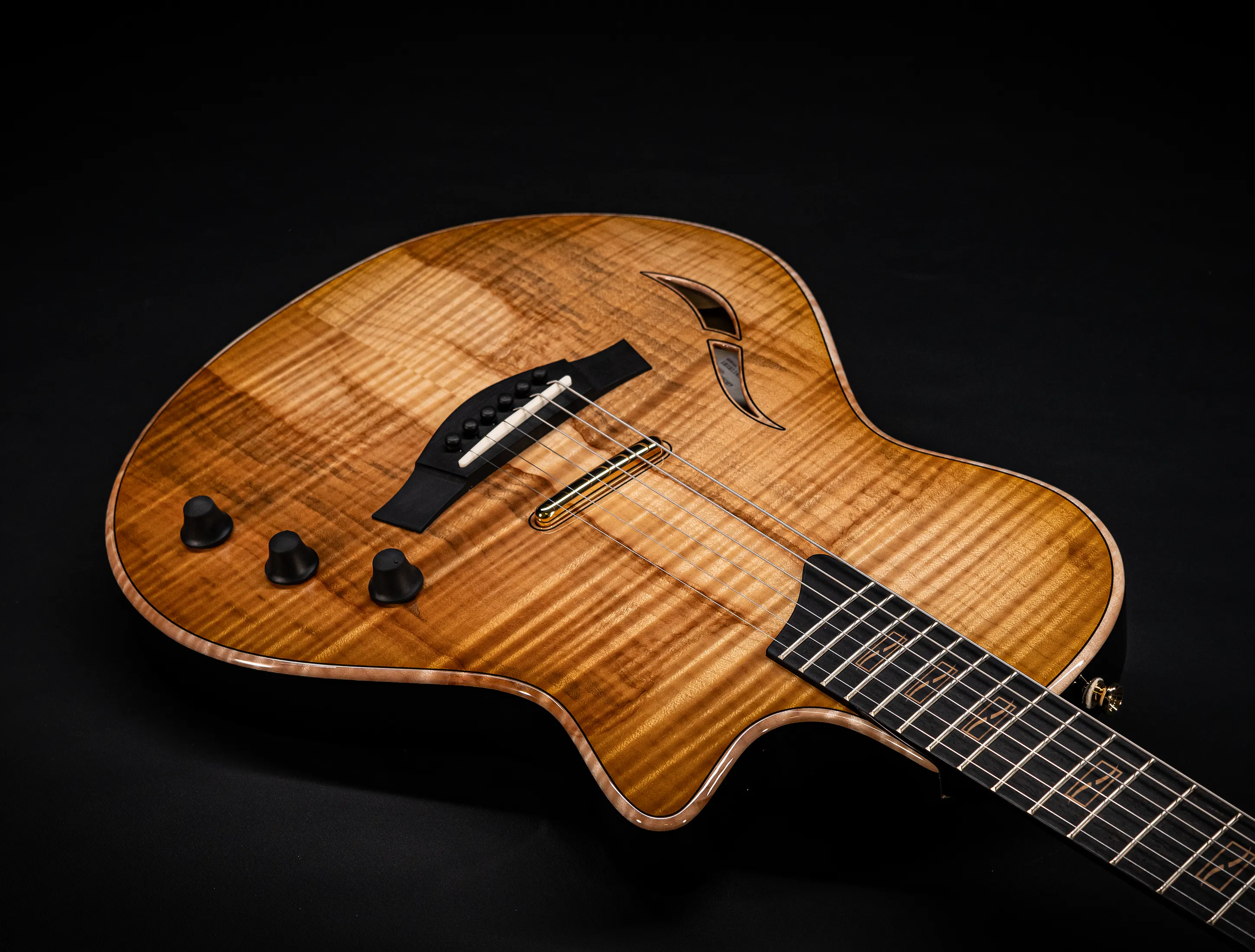 a174942 Taylor Custom T5z Boxwood Antique Blonde musikhaus-hermann