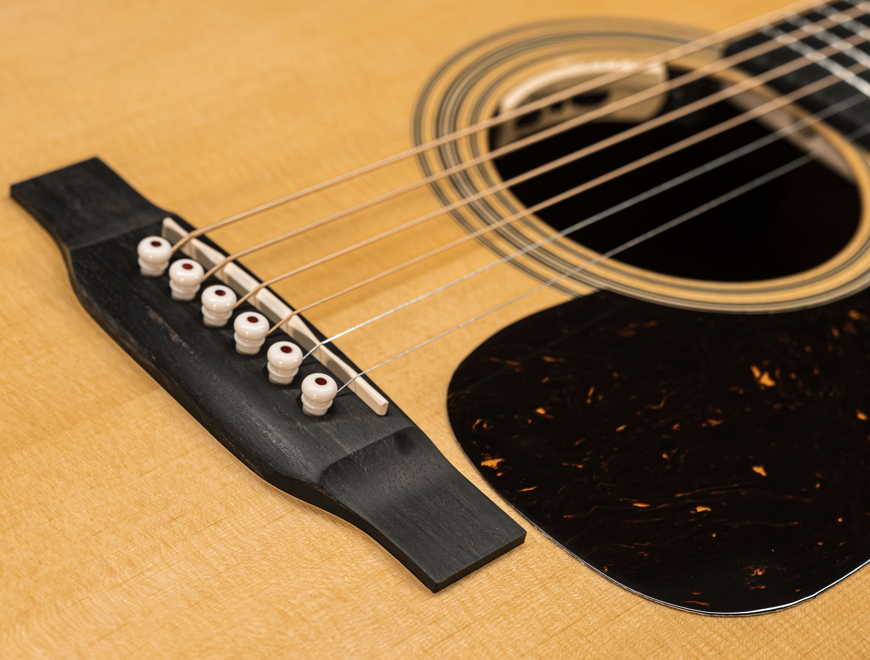 Martin HD-28E LRB (Reimagined) L.R.Baggs Anthem PickUp