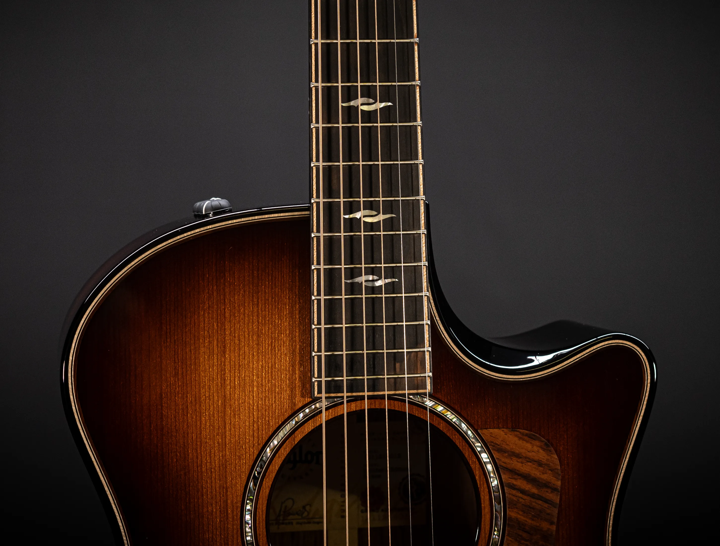 a171152 Taylor Builders Edition 814ce Honduras Palisander meets Sinker Redwood Musikhaus-Hermann
