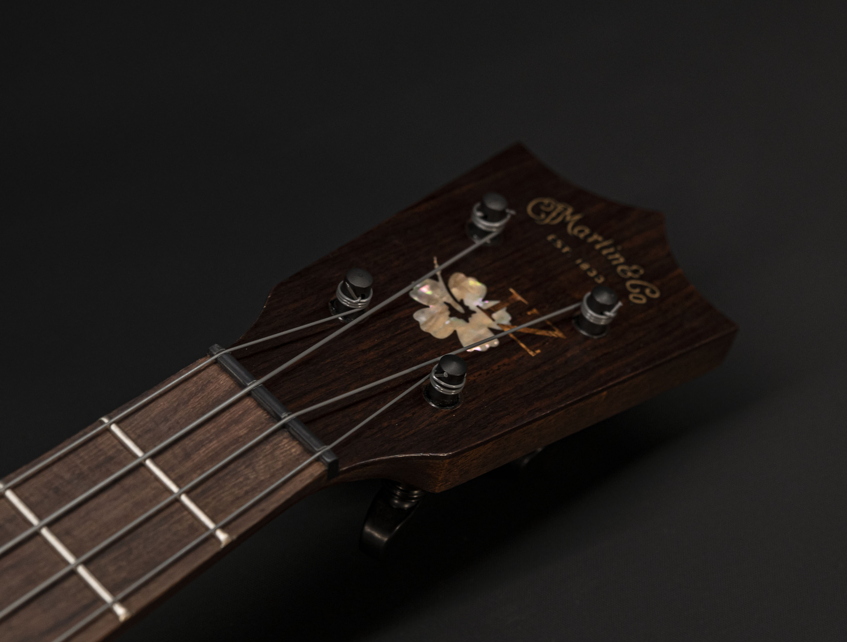 Galerie anzeigen (18 Bilder) a133439 martin-1t-iz-tenor-uke