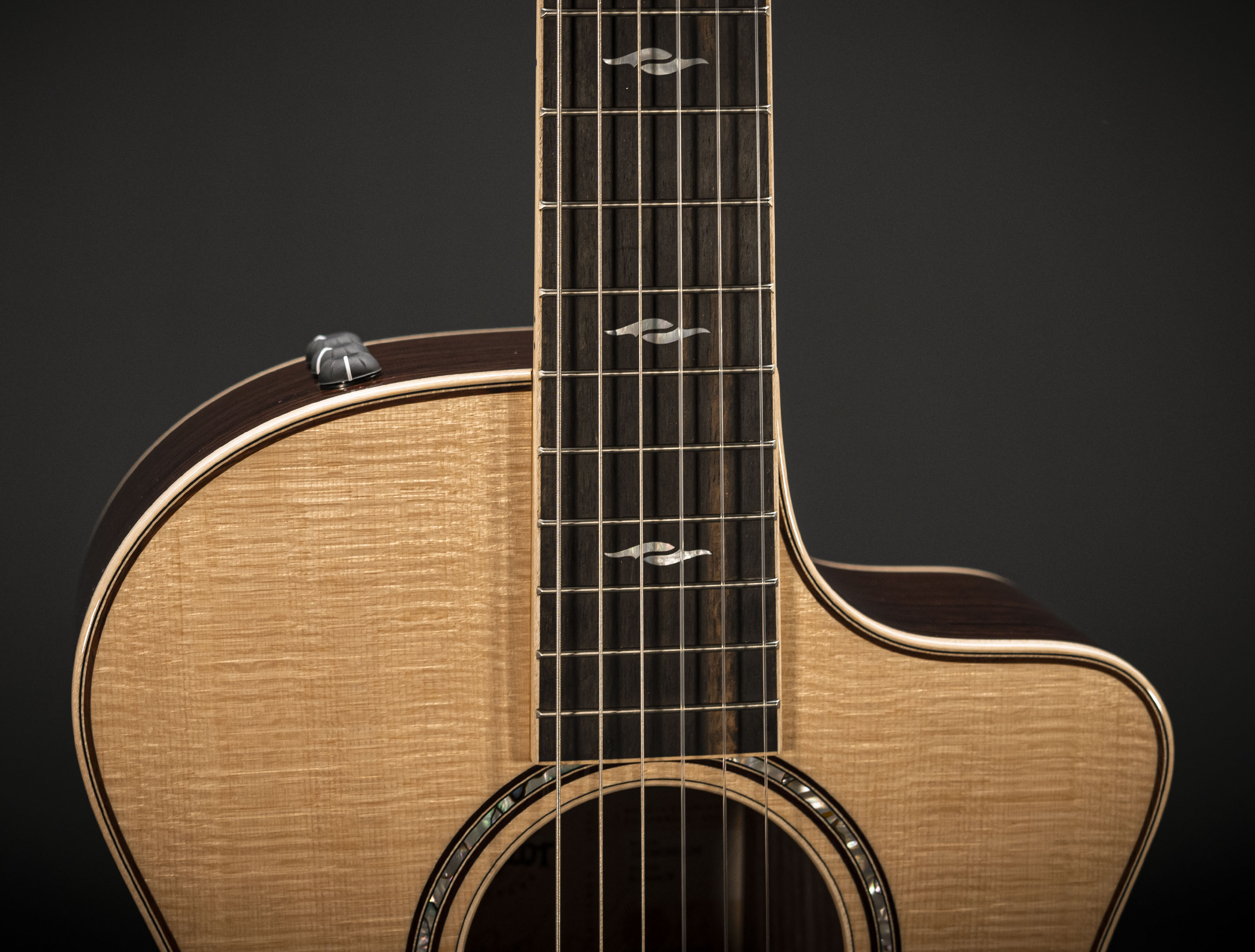 a135500_Taylor-812ce-N-Nylon-Grand-Concert a135500 taylor-812ce-n-nylon-grand-concert