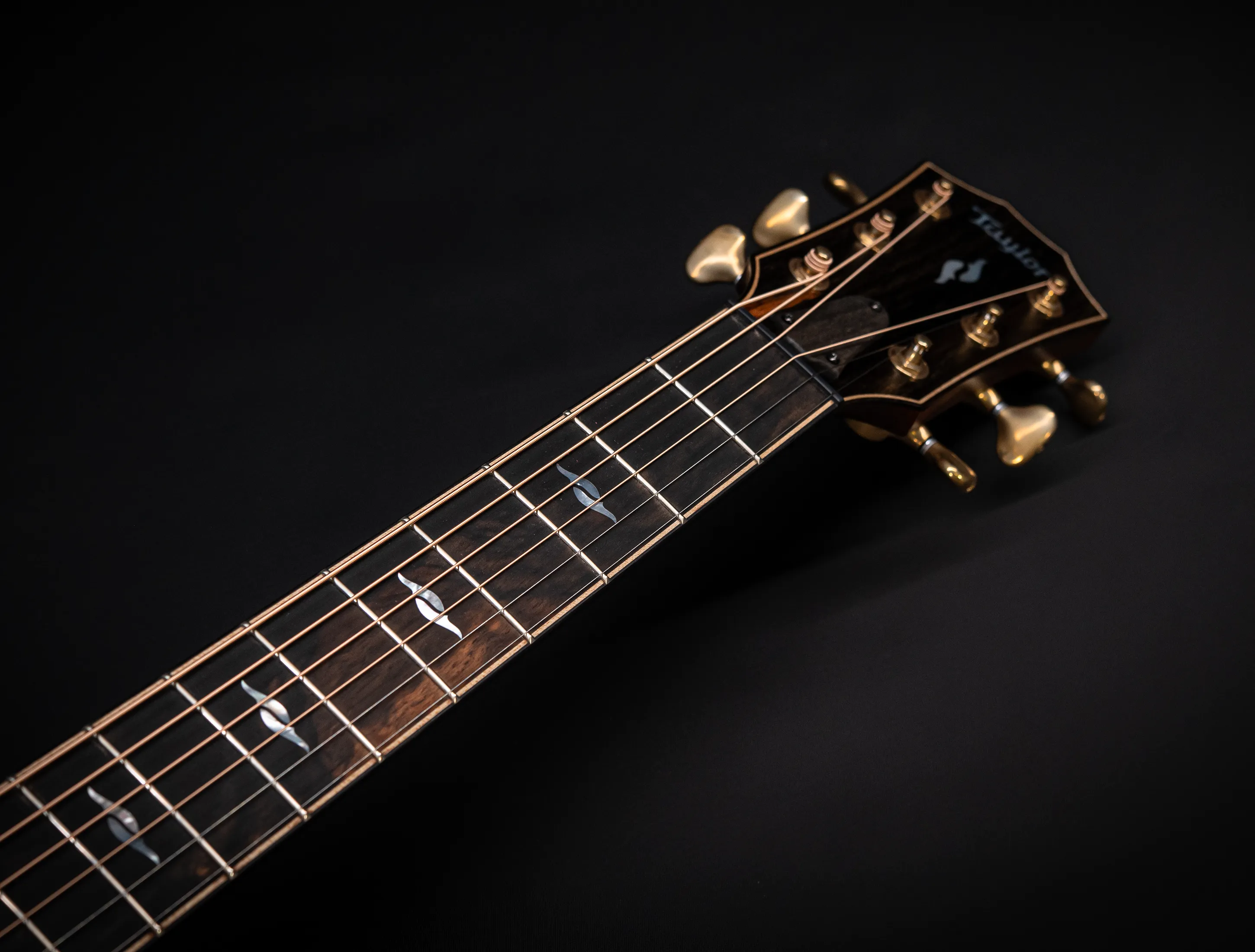 a171135 Taylor Builders Edition 814ce Honduras Palisander meets Sinker Redwood Musikhaus-Hermann