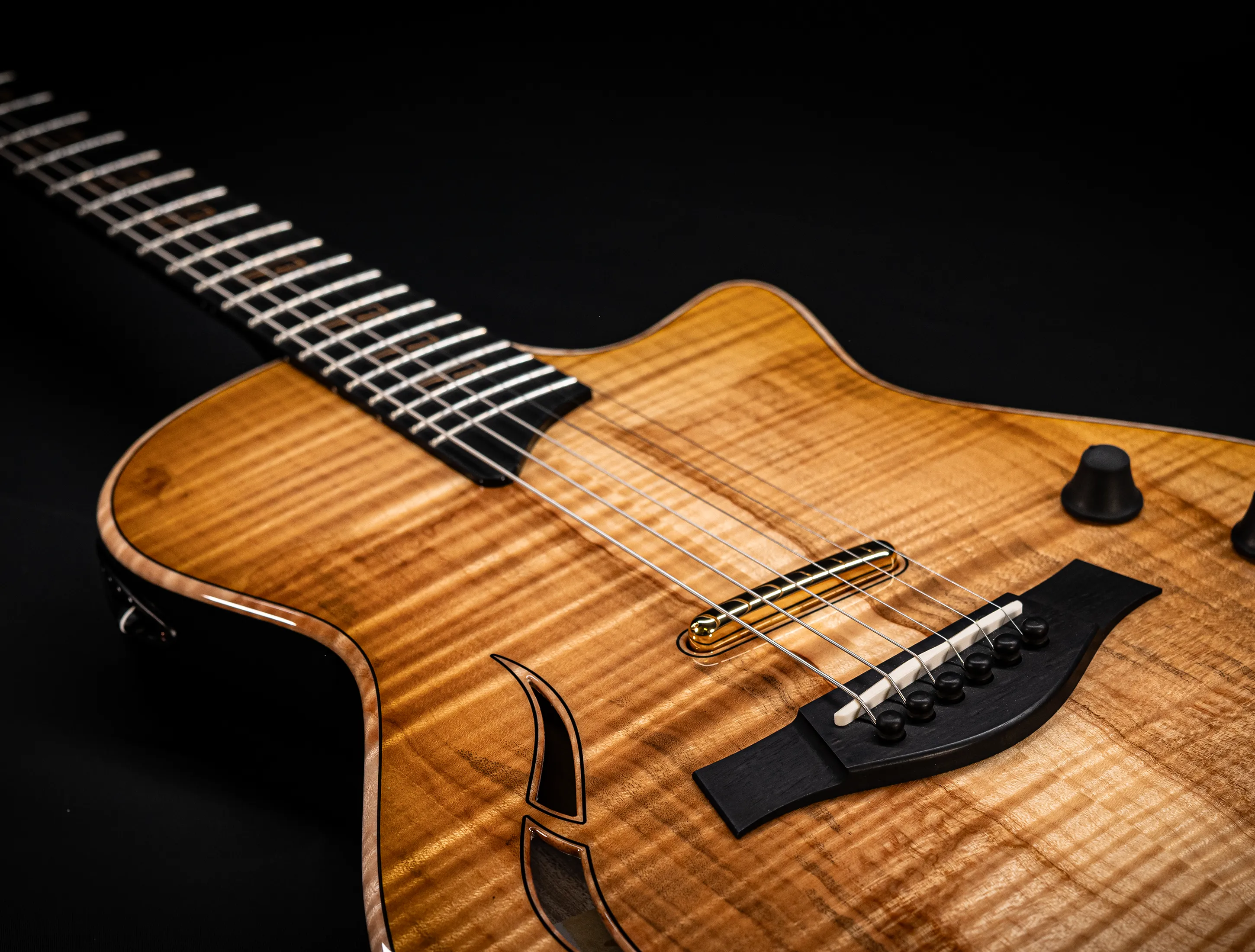 a174952 Taylor Custom T5z Boxwood Antique Blonde musikhaus-hermann