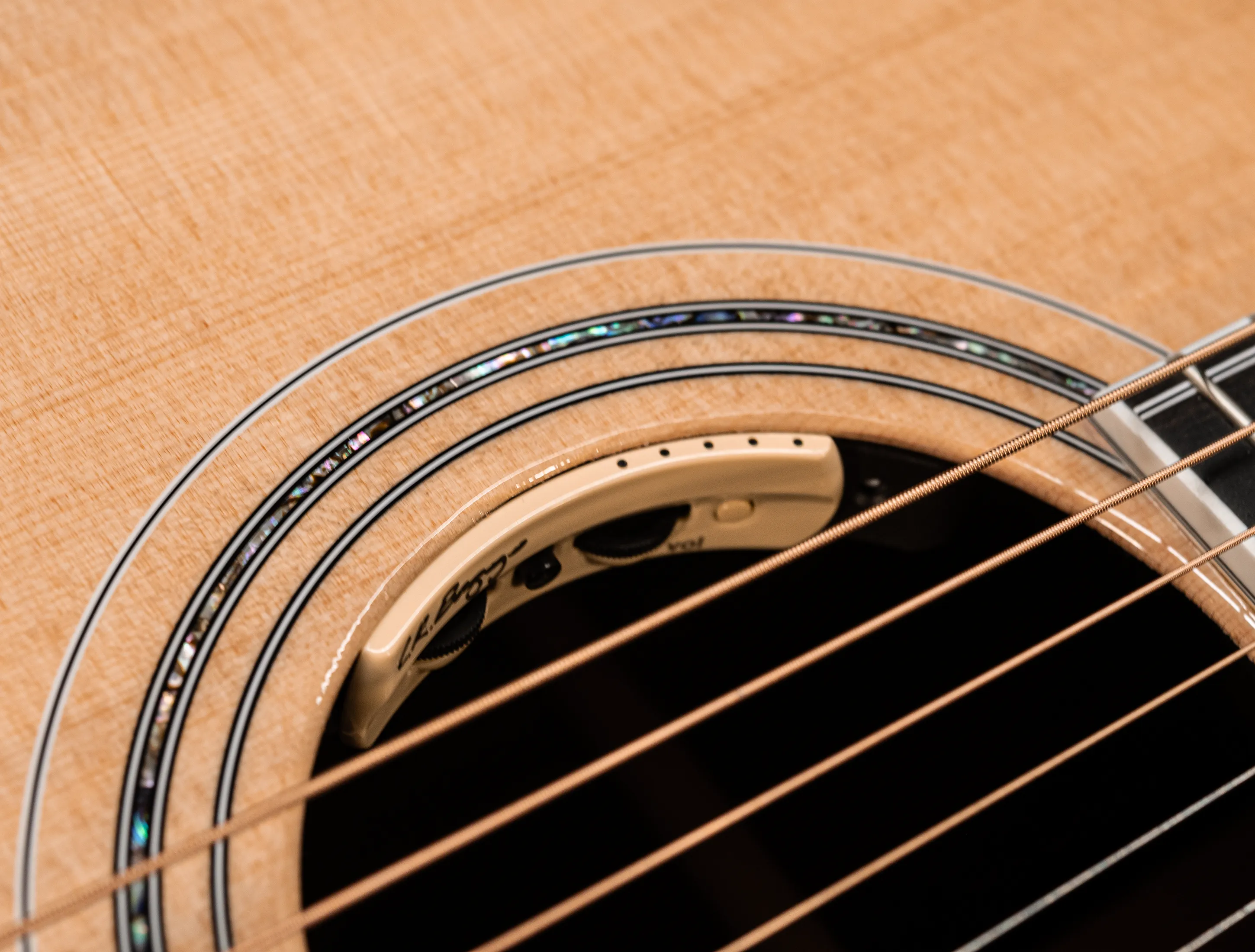 Galerie anzeigen (27 Bilder) a161206 Guild D-55E Natural L.R.Baggs USA