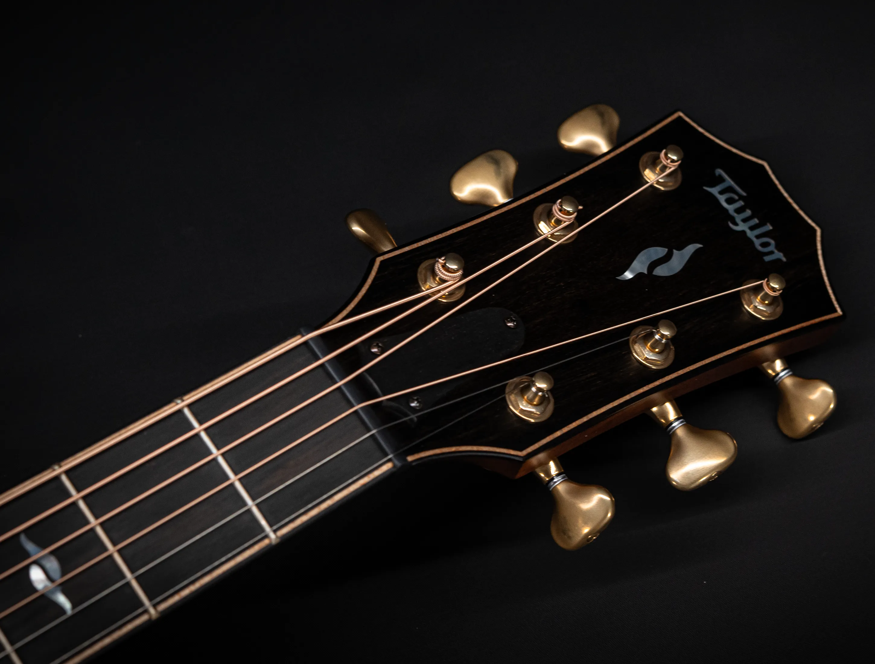Taylor 814ce Builder's Edition Next Generation