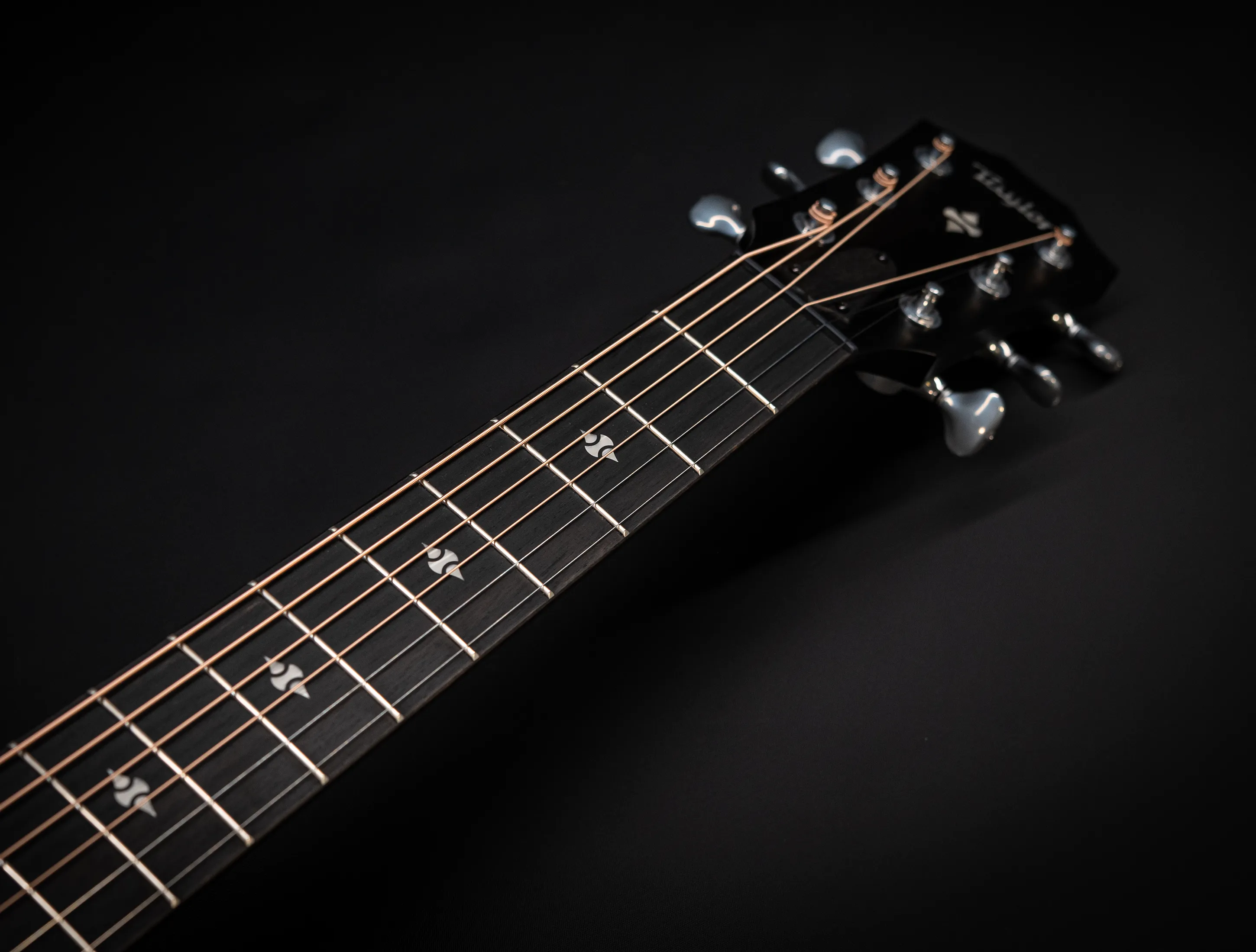 a174154 Taylor 514ce Builders Edition Natural musikhaus-hermann