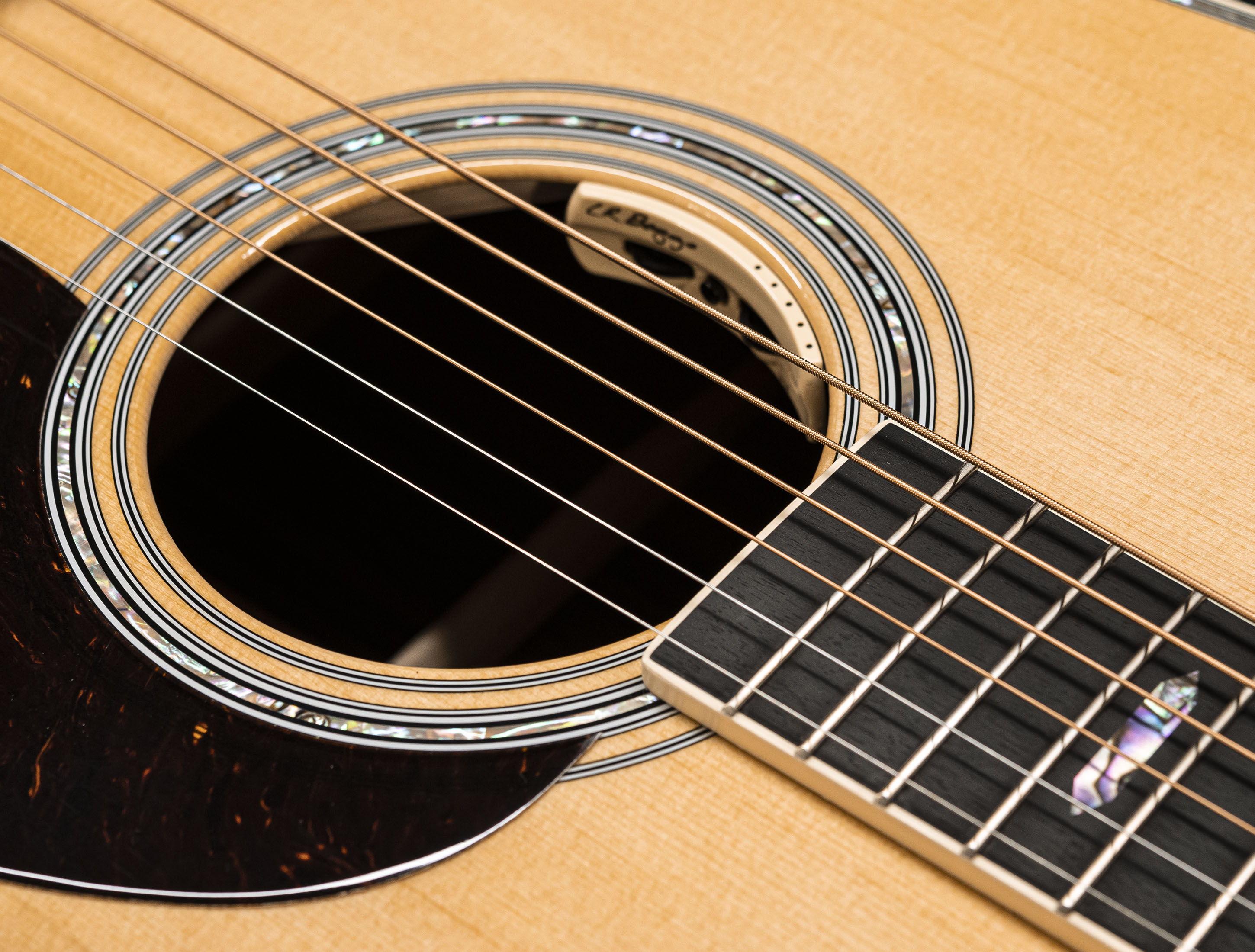 Show gallery (24 images) a120252 martin-d-41-e-reimagined-l-r-baggs-anthem-pickup