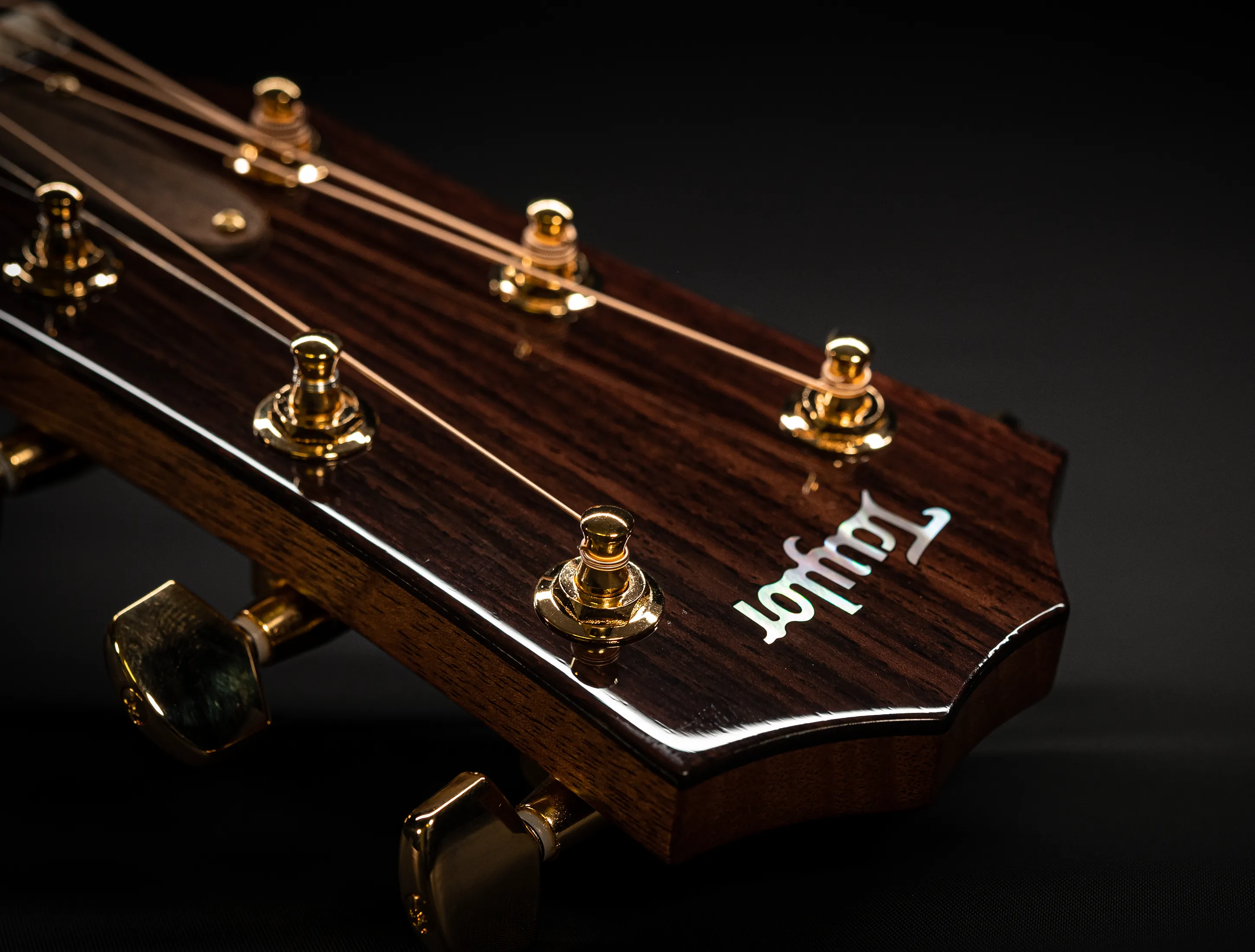 a170557 Taylor 514ce Legacy