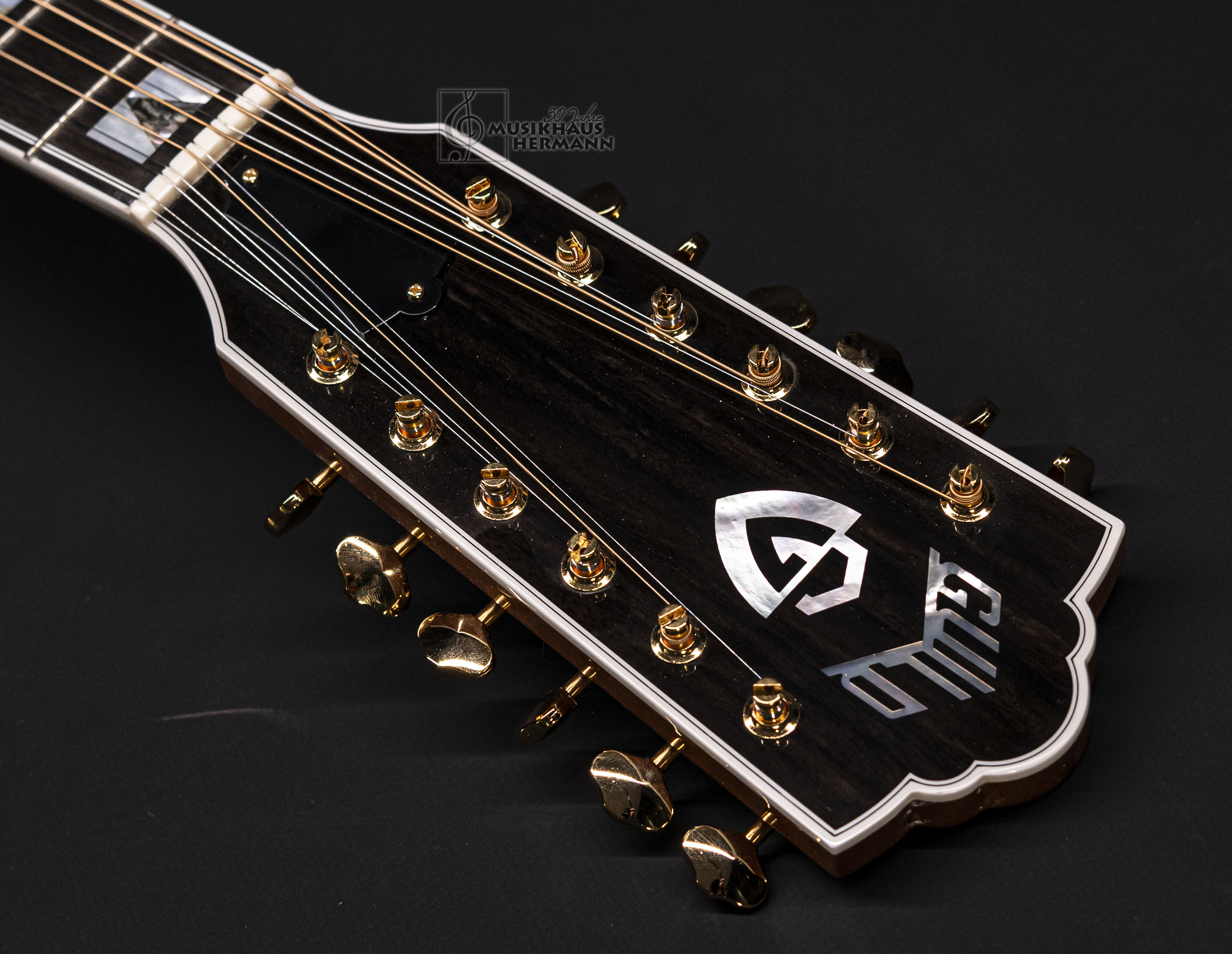 Galerie anzeigen (18 Bilder) a8-8436-guild-f-512-maple-bld