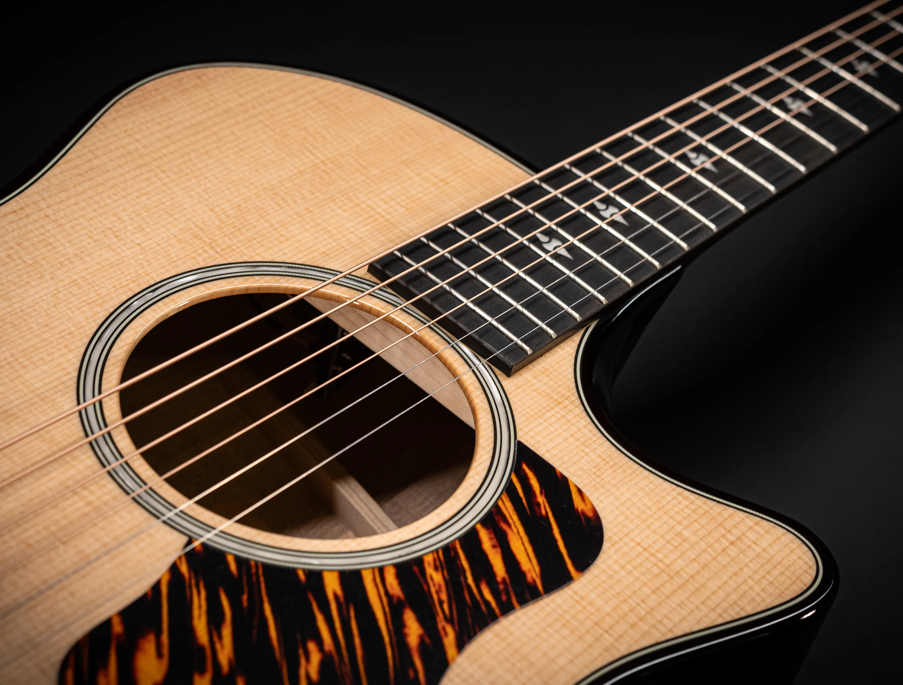 a174146 Taylor 514ce Builders Edition Natural musikhaus-hermann