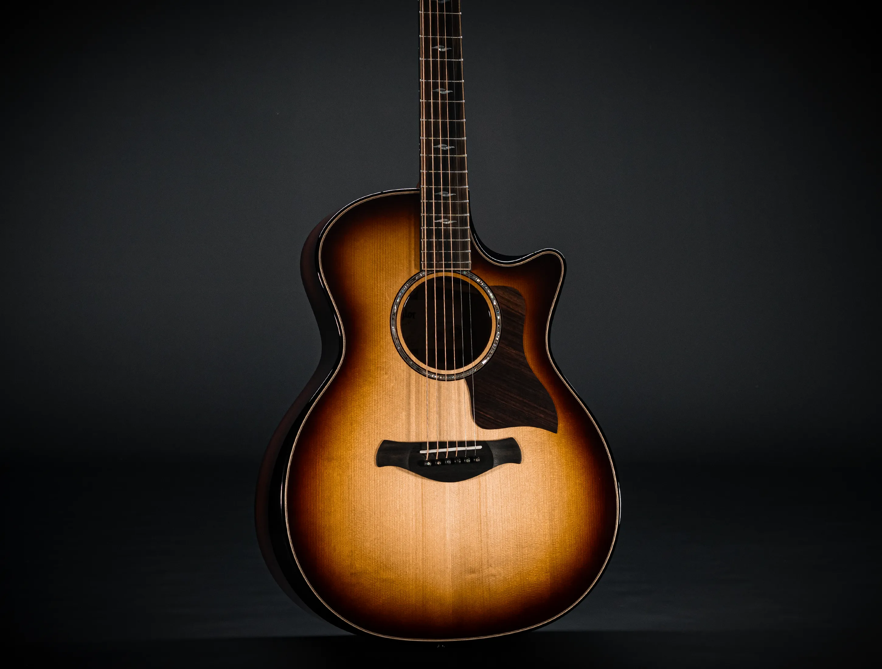 Taylor Builder's Edition 814ce Honduras Palisander meets Adirondack Next Generation